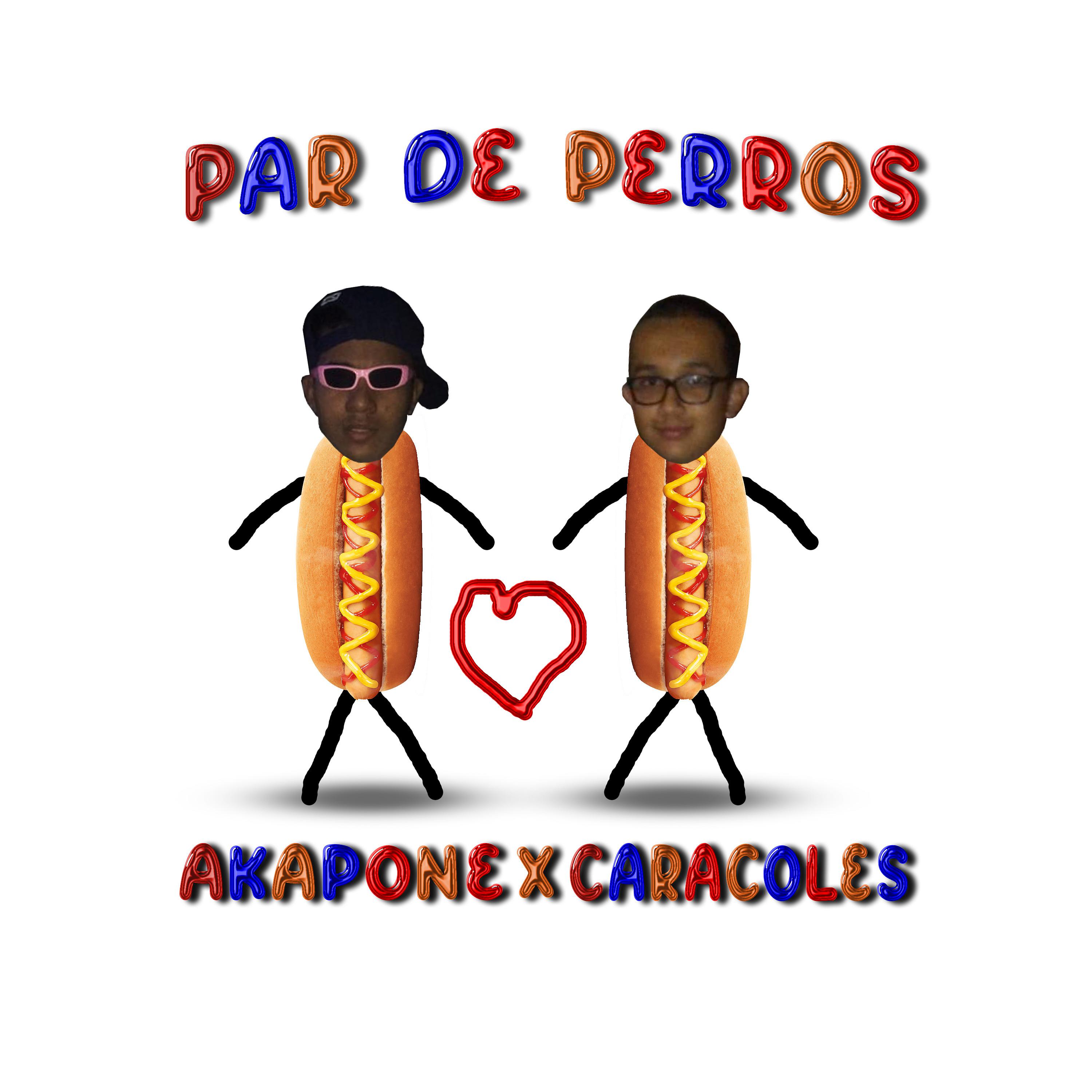 Постер альбома Par de Perros