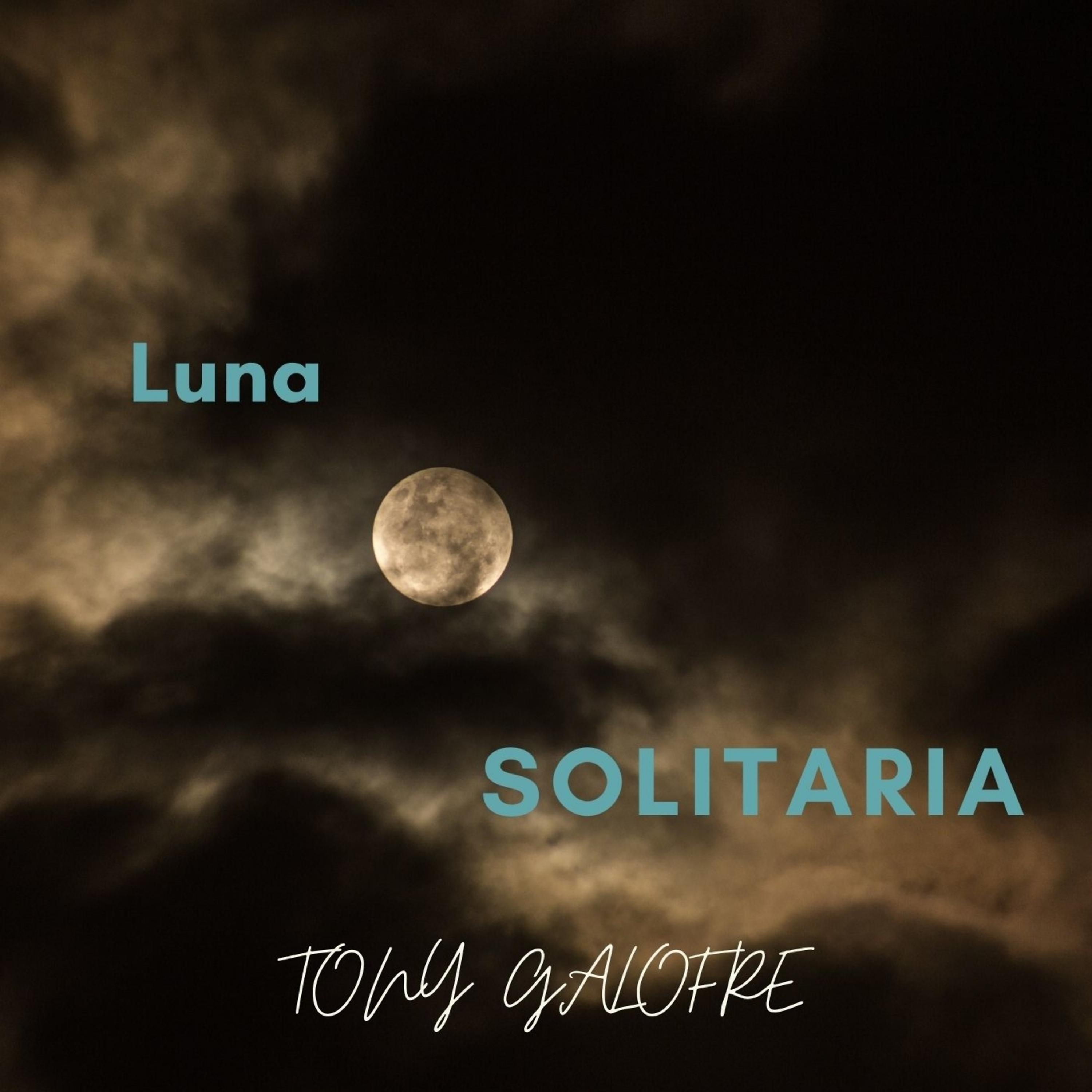 Постер альбома Luna Solitaria