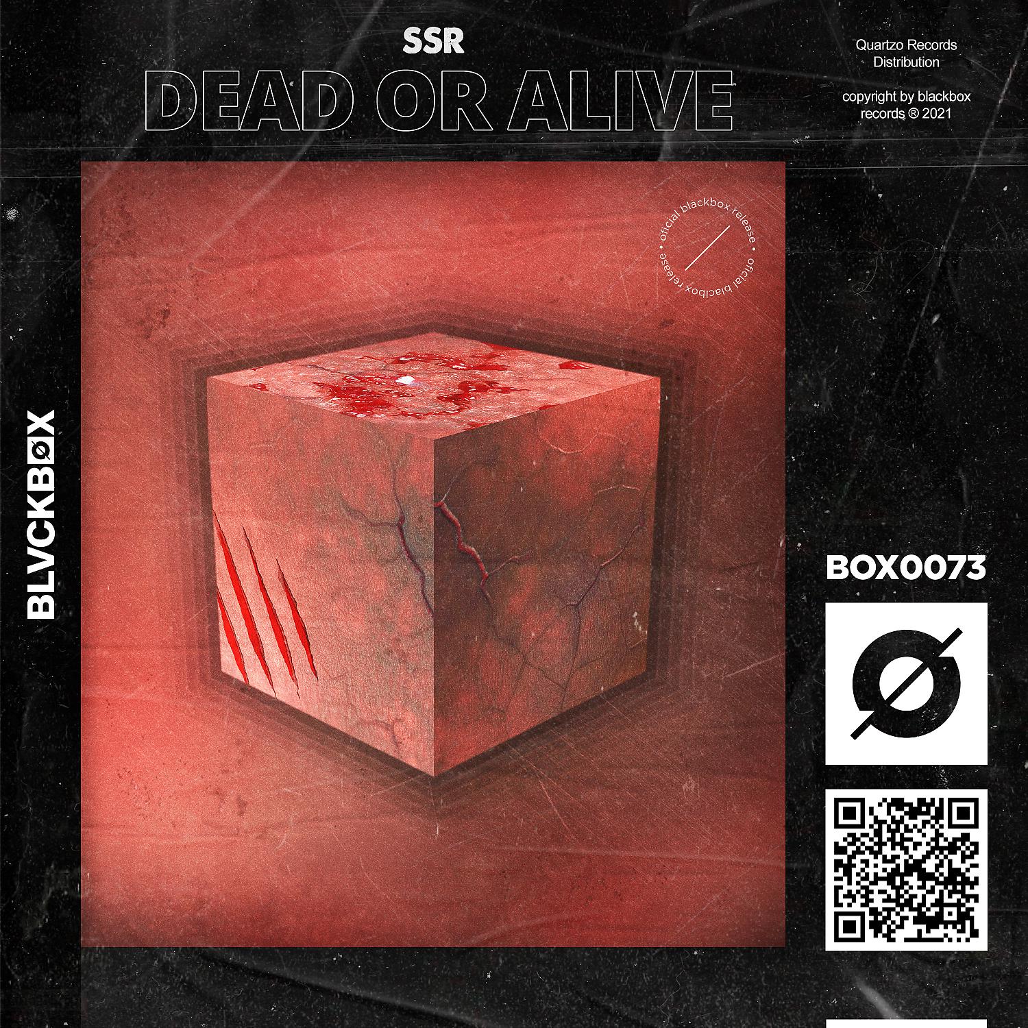 Постер альбома Dead Or Alive