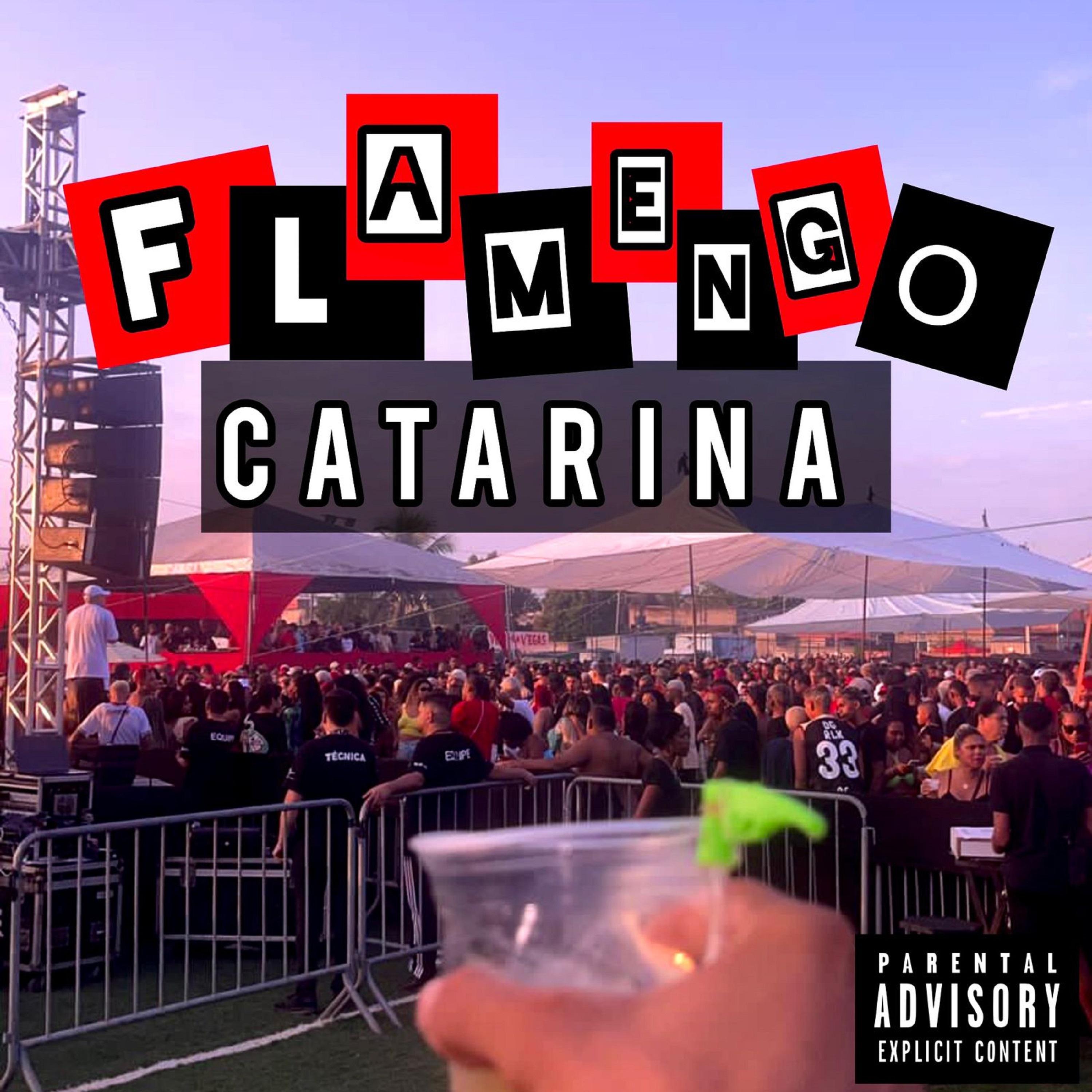 Постер альбома Flamengo Catarina