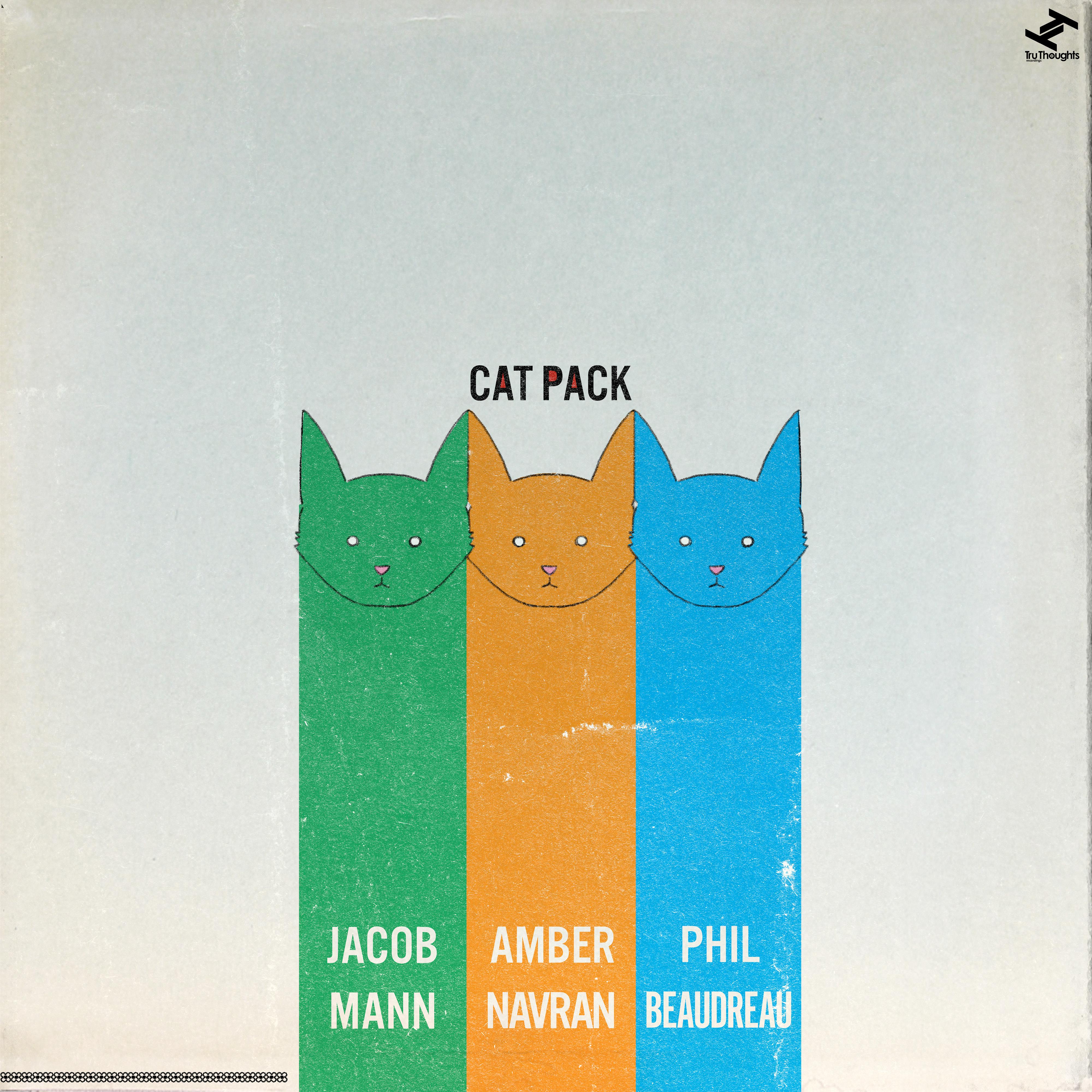 Постер альбома Catpack