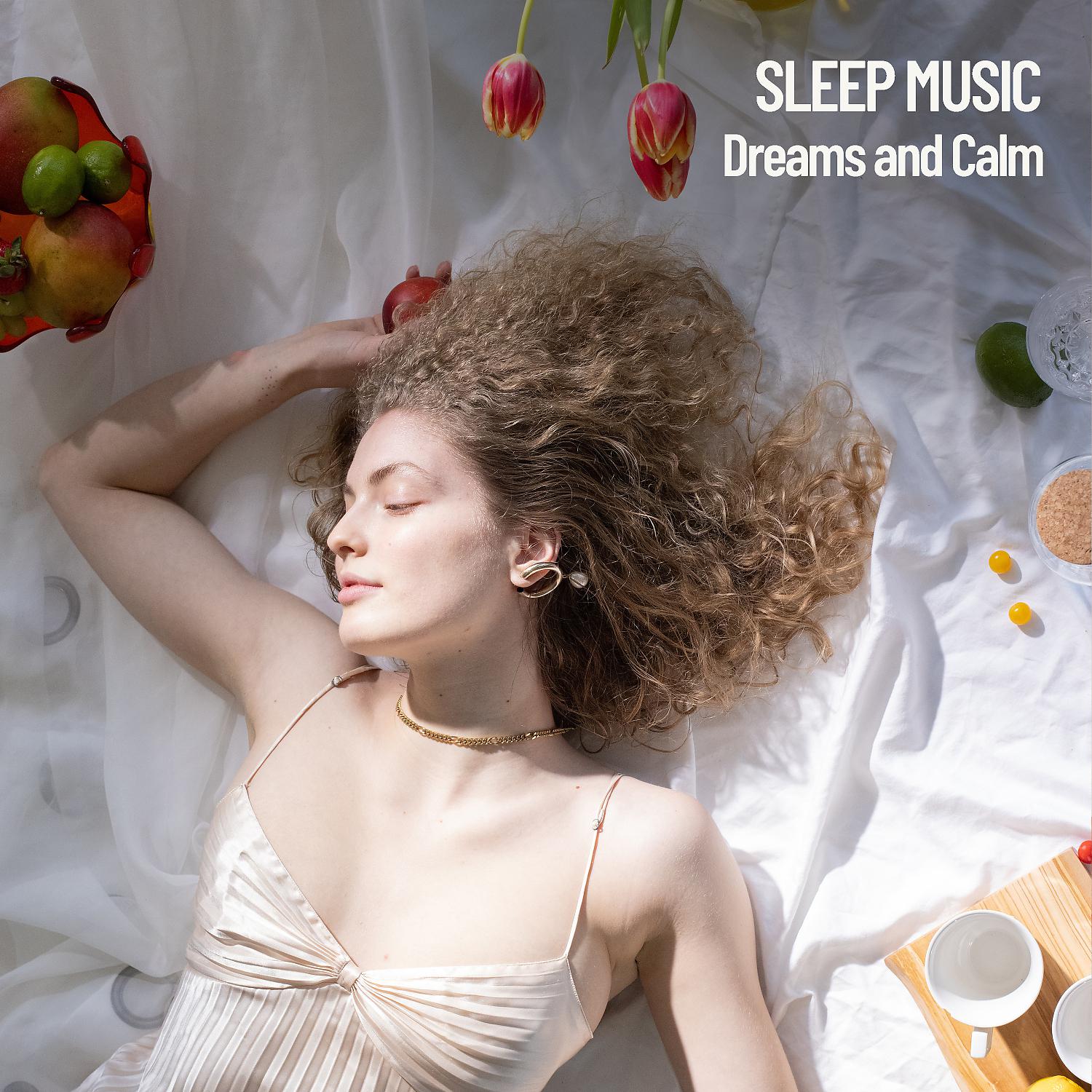 Постер альбома Sleep Music: Dreams and Calm