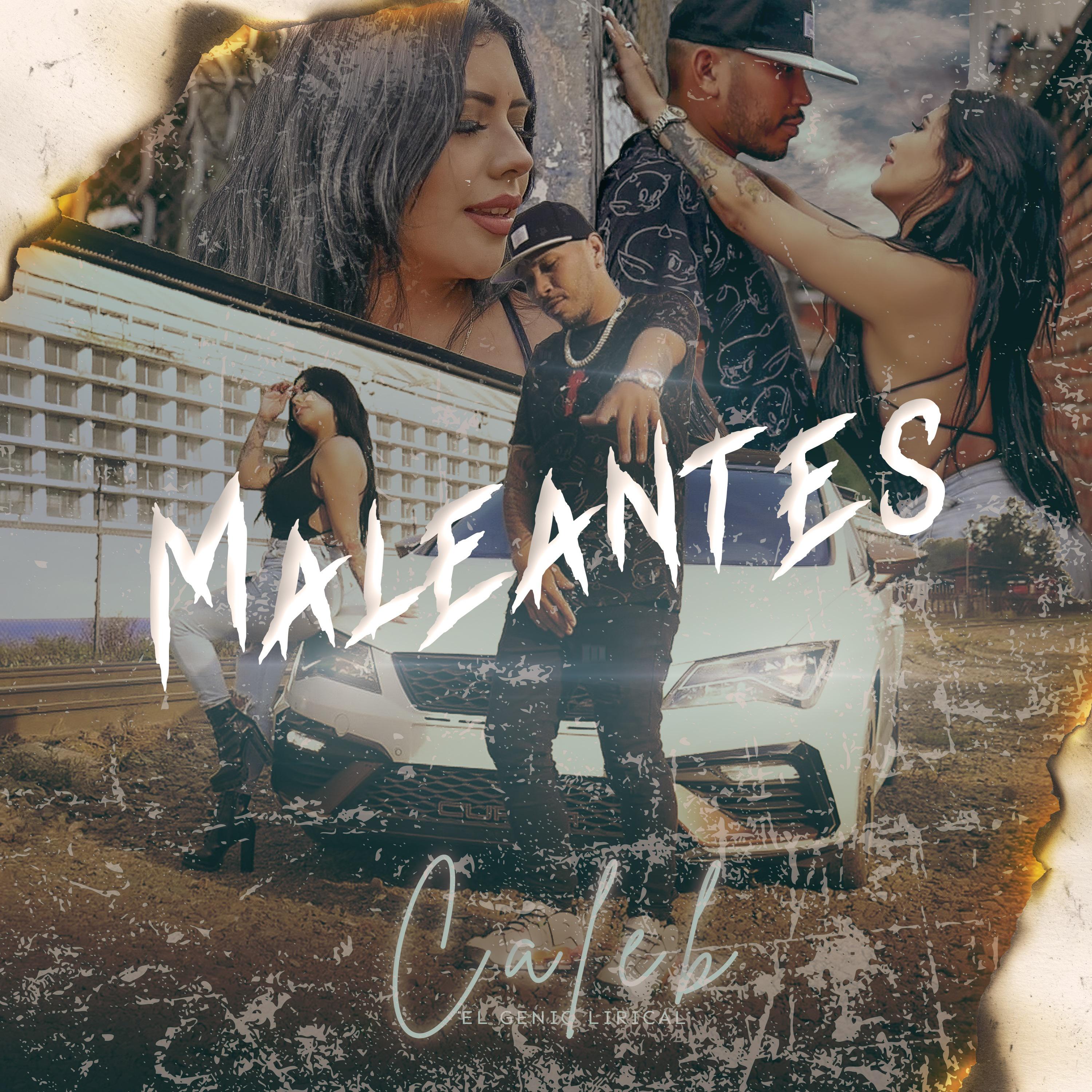 Постер альбома Maleantes