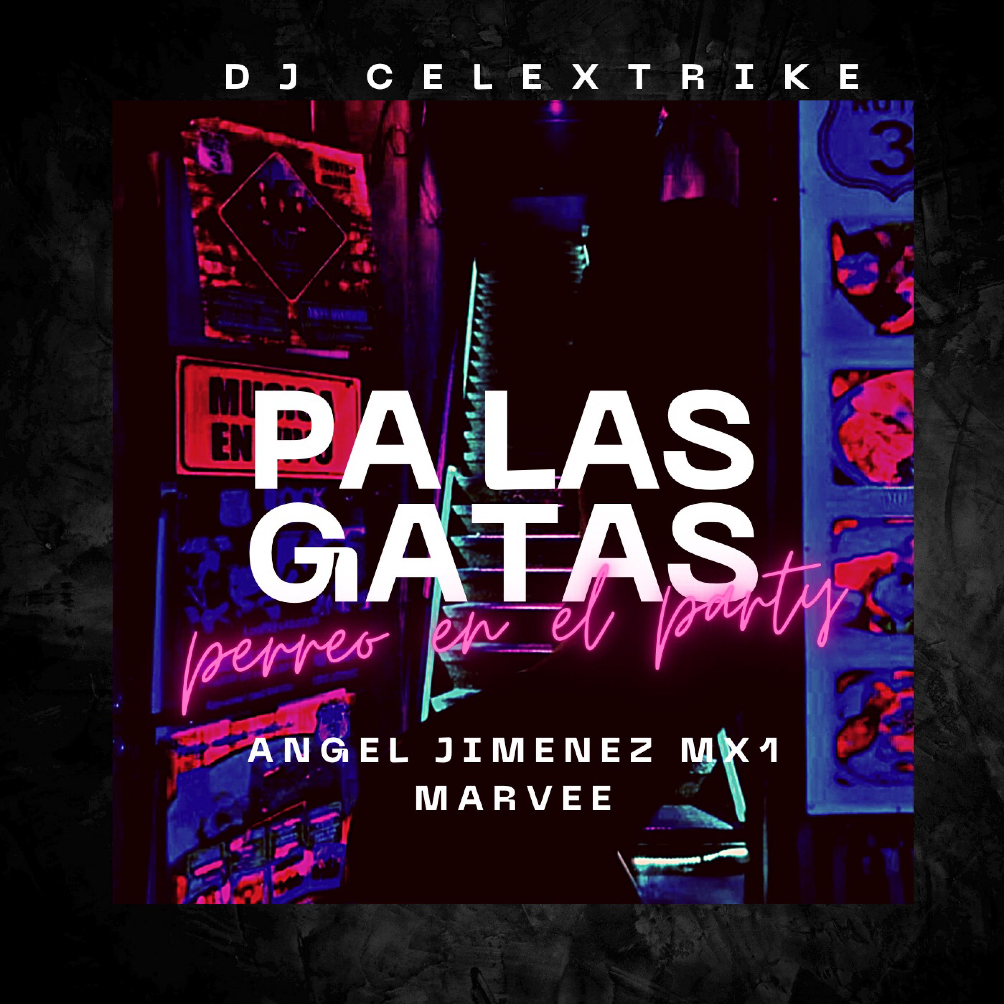 Постер альбома Pa’ las Gatas