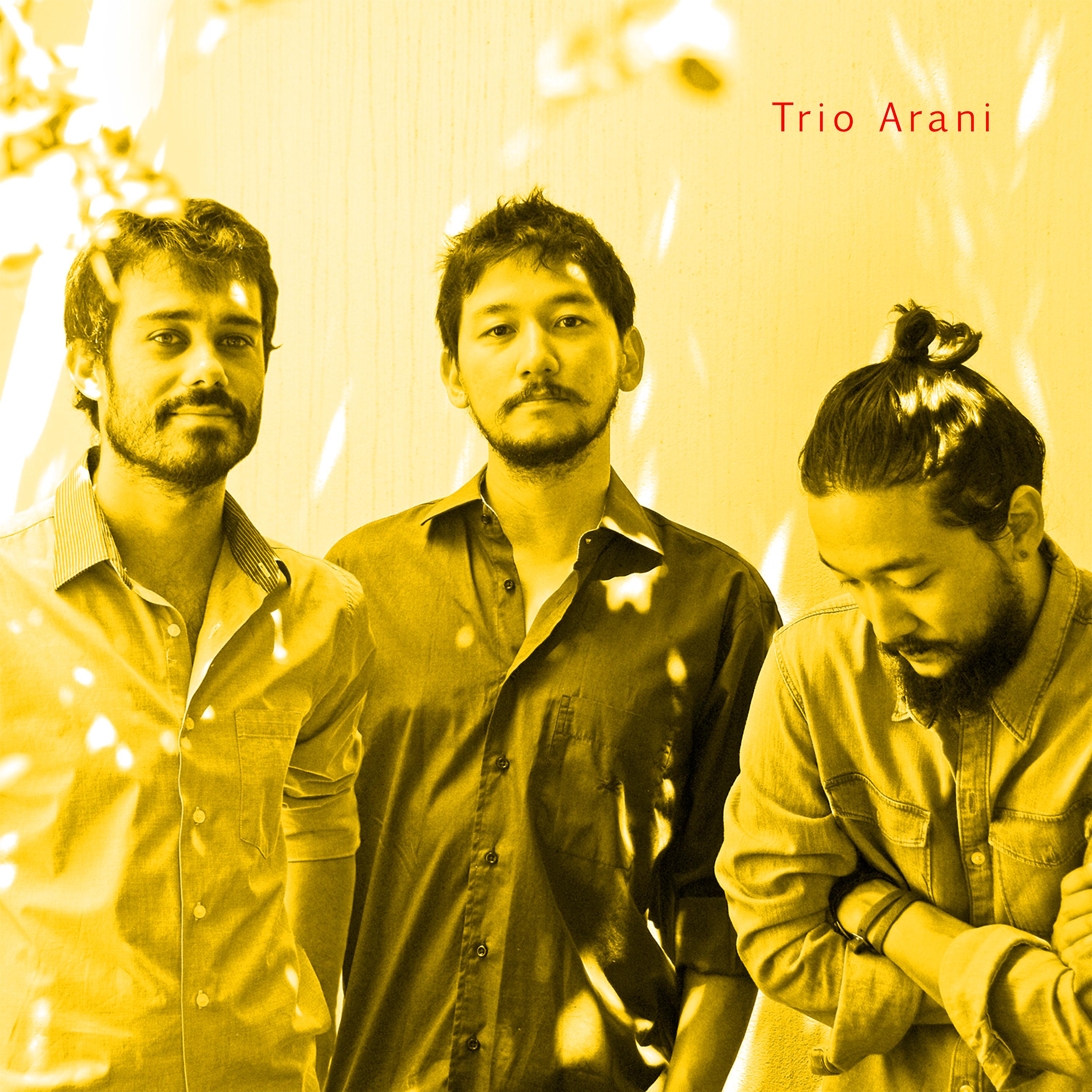 Постер альбома Trio Arani