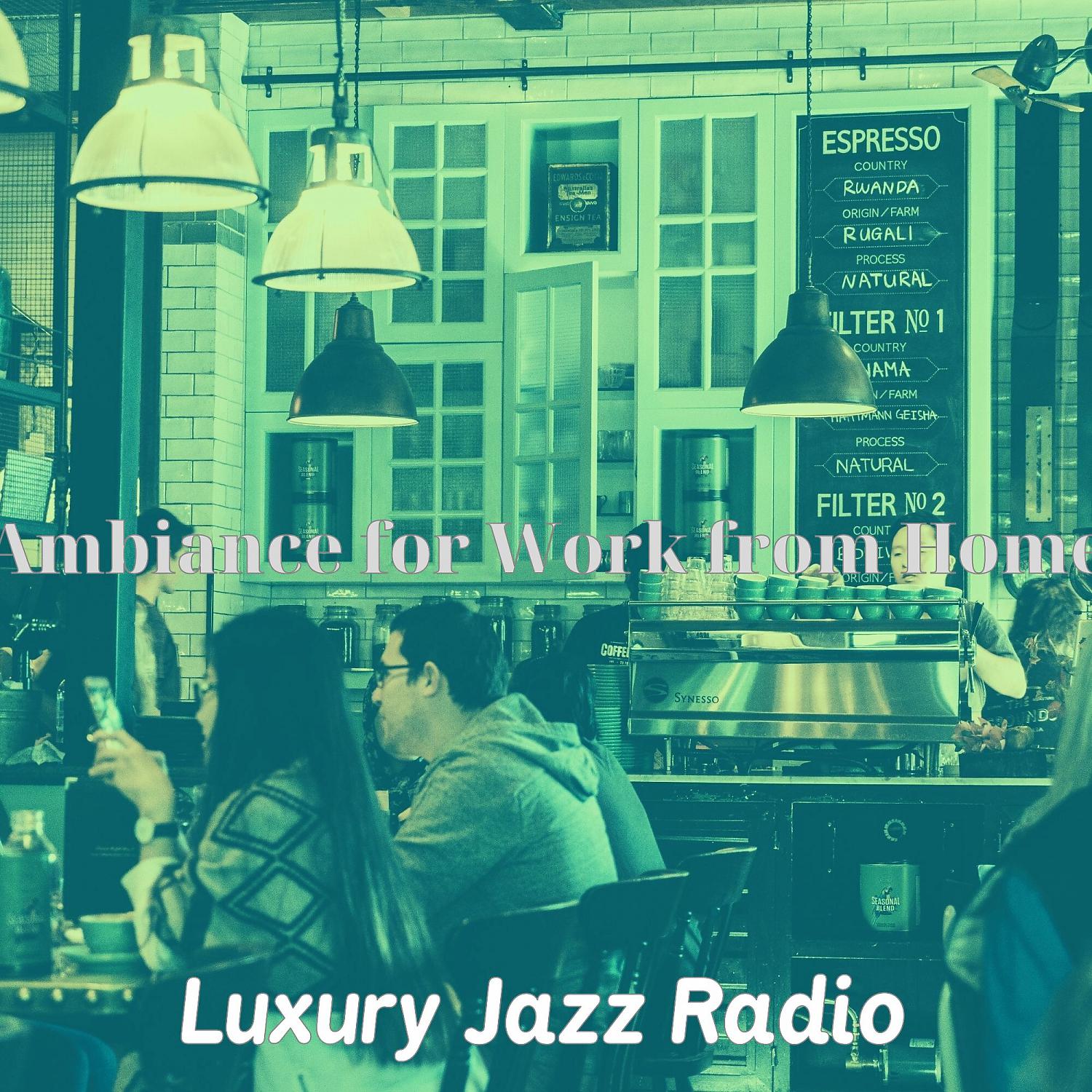 Постер альбома Ambiance for Work from Home