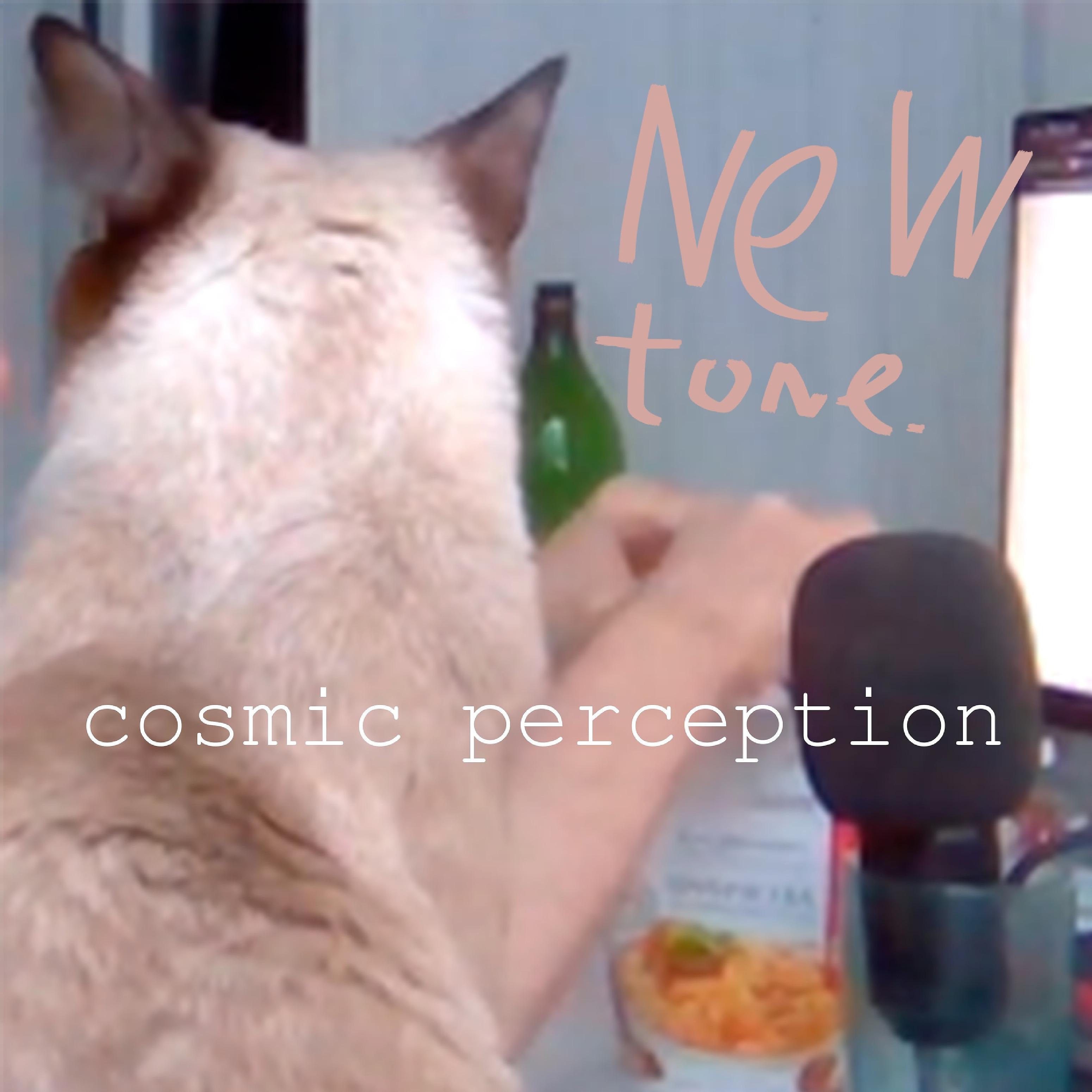 Постер альбома Cosmic Perception