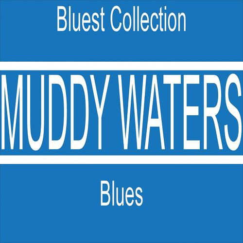 Постер альбома Blues (Bluest Collection)