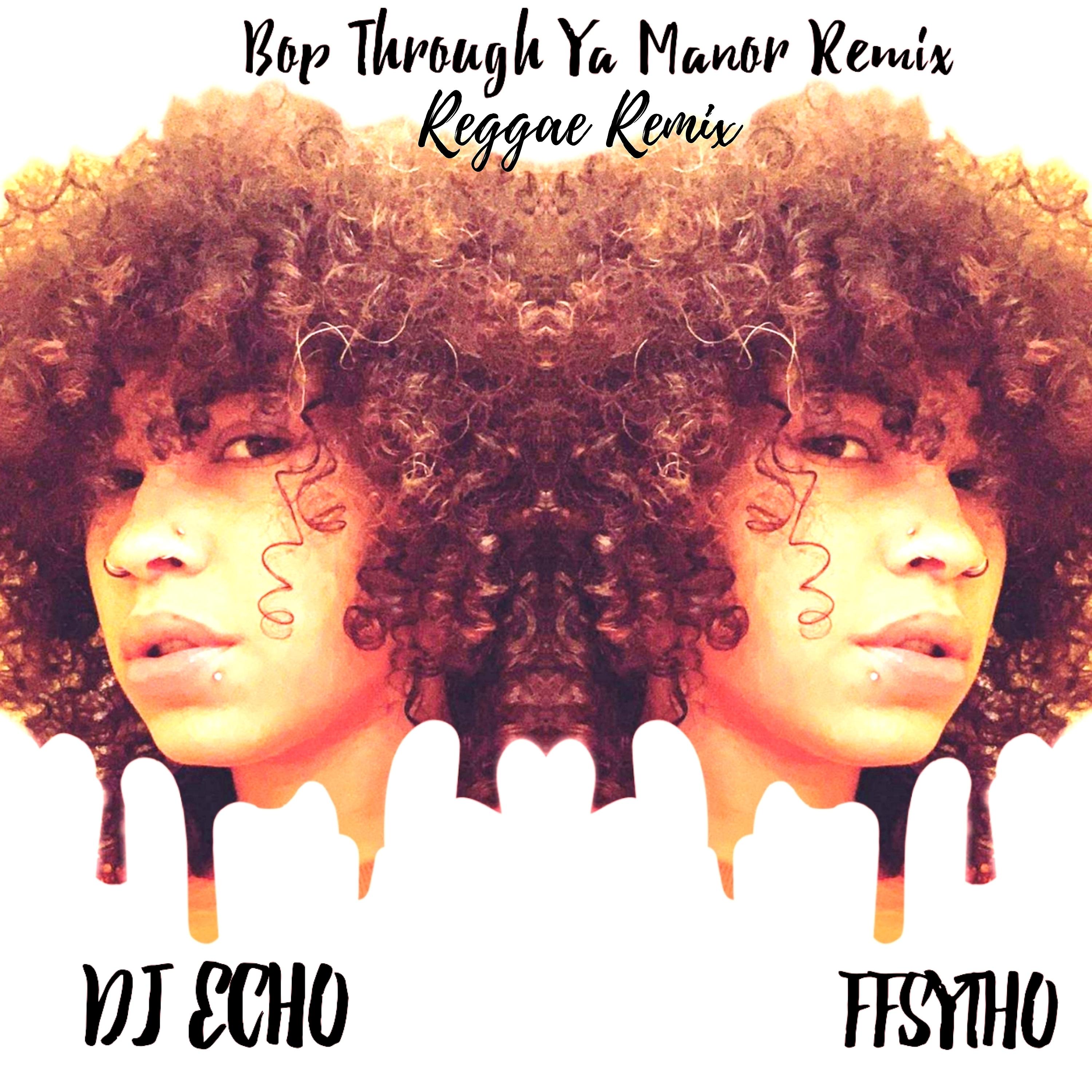 Постер альбома Bop Through Ya Manor (Reggae Remix)