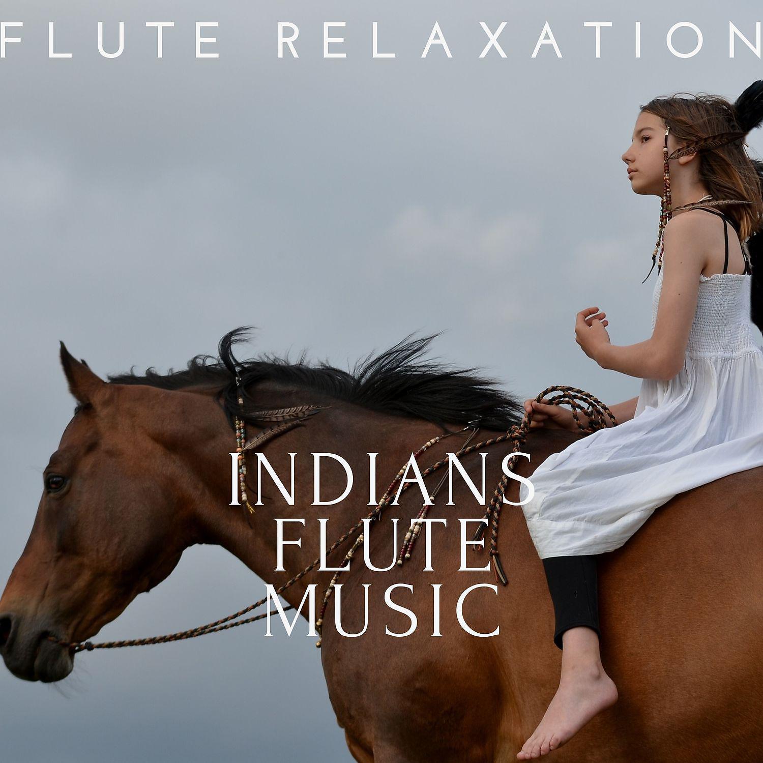 Постер альбома Indians Flute Music