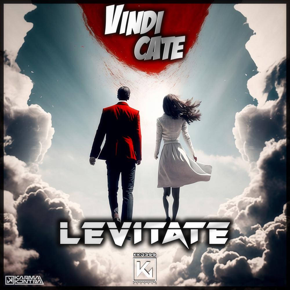 Постер альбома Levitate