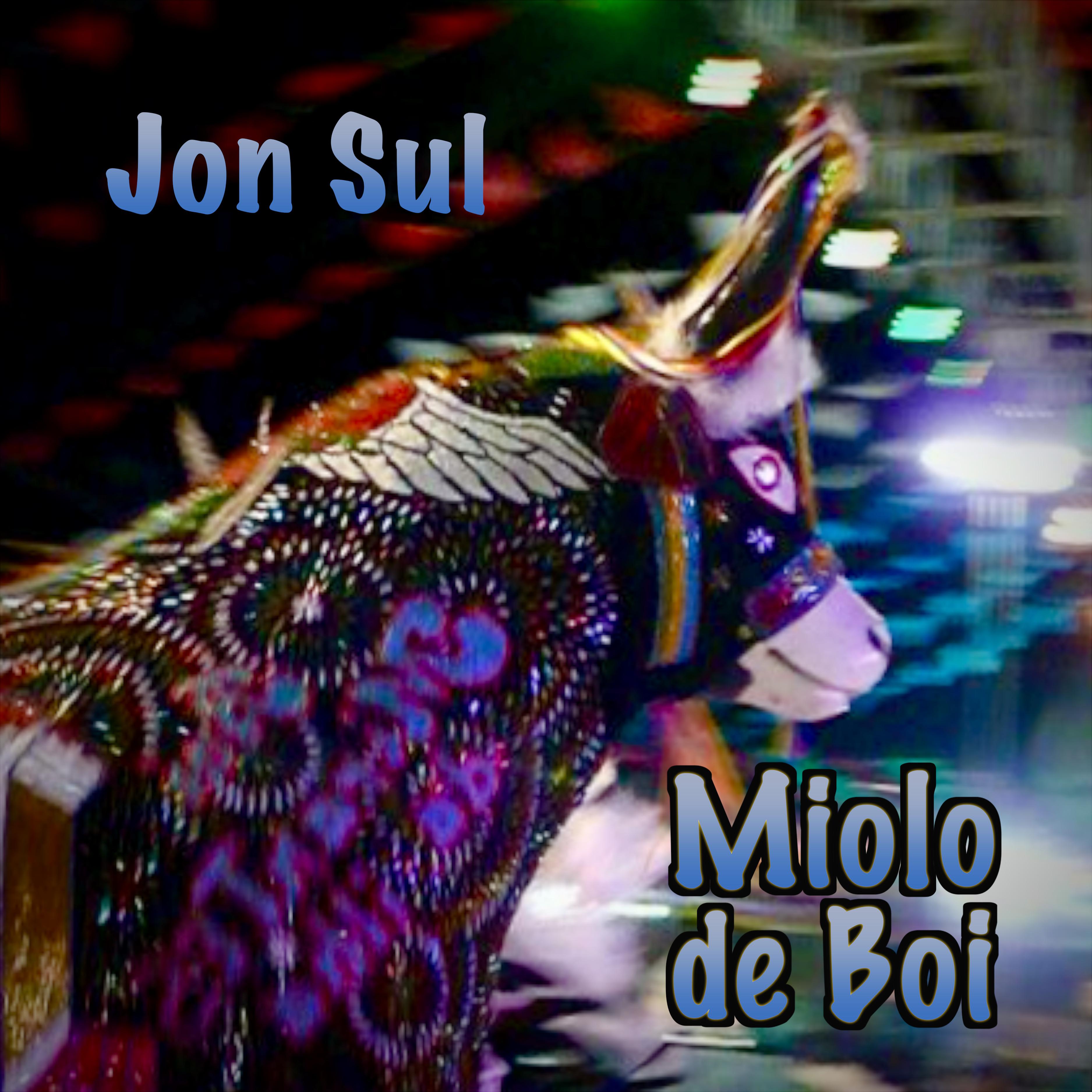 Постер альбома MIOLO DE BOI