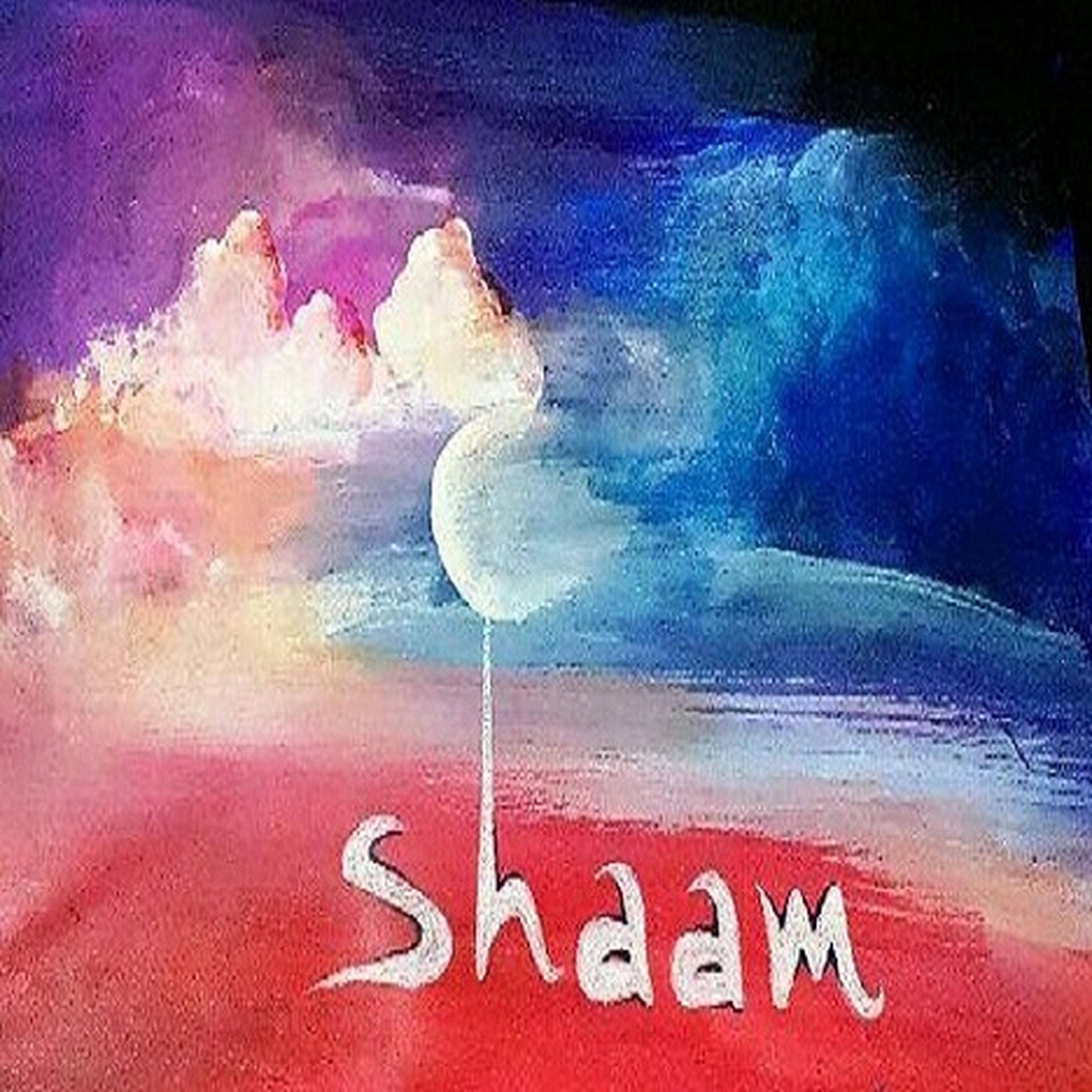 Постер альбома Shaam - Single