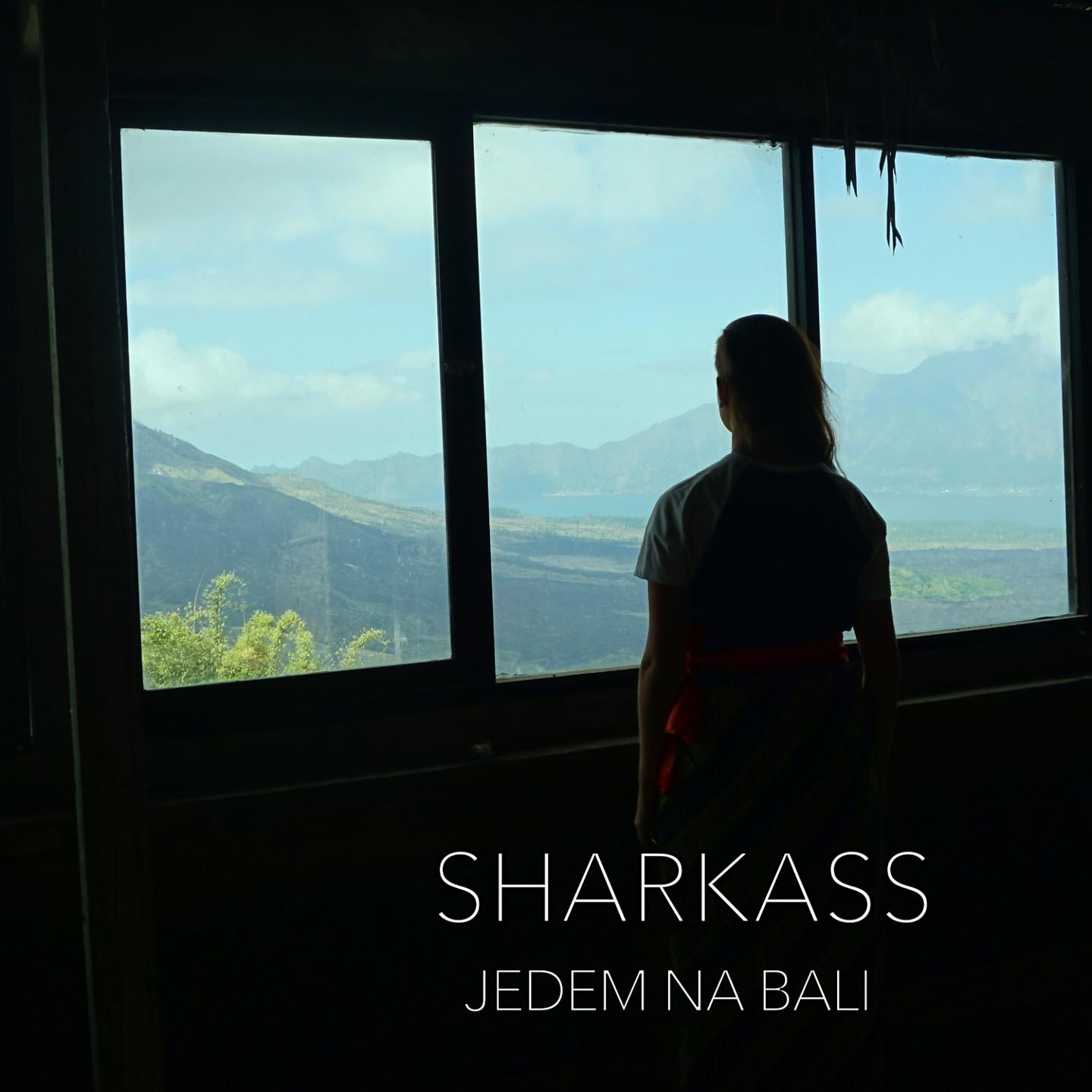 Постер альбома Jedem Na Bali