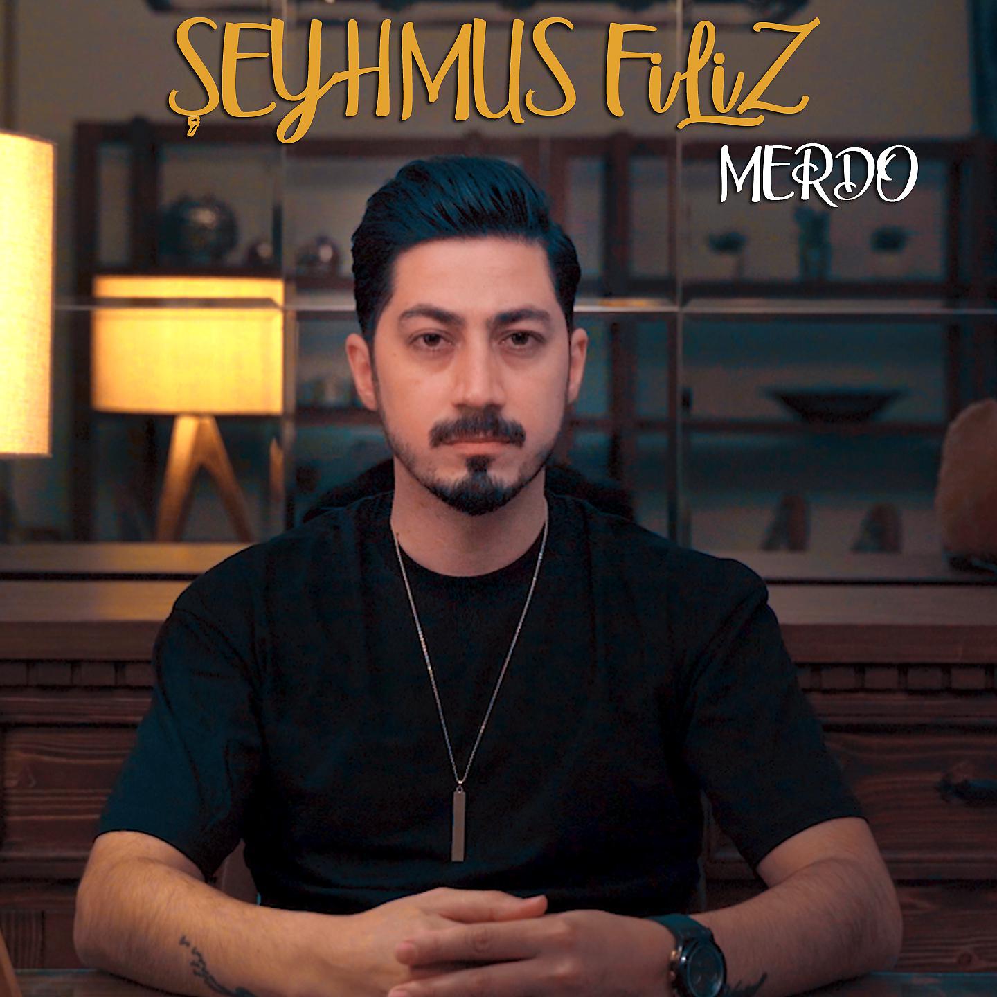 Постер альбома Merdo