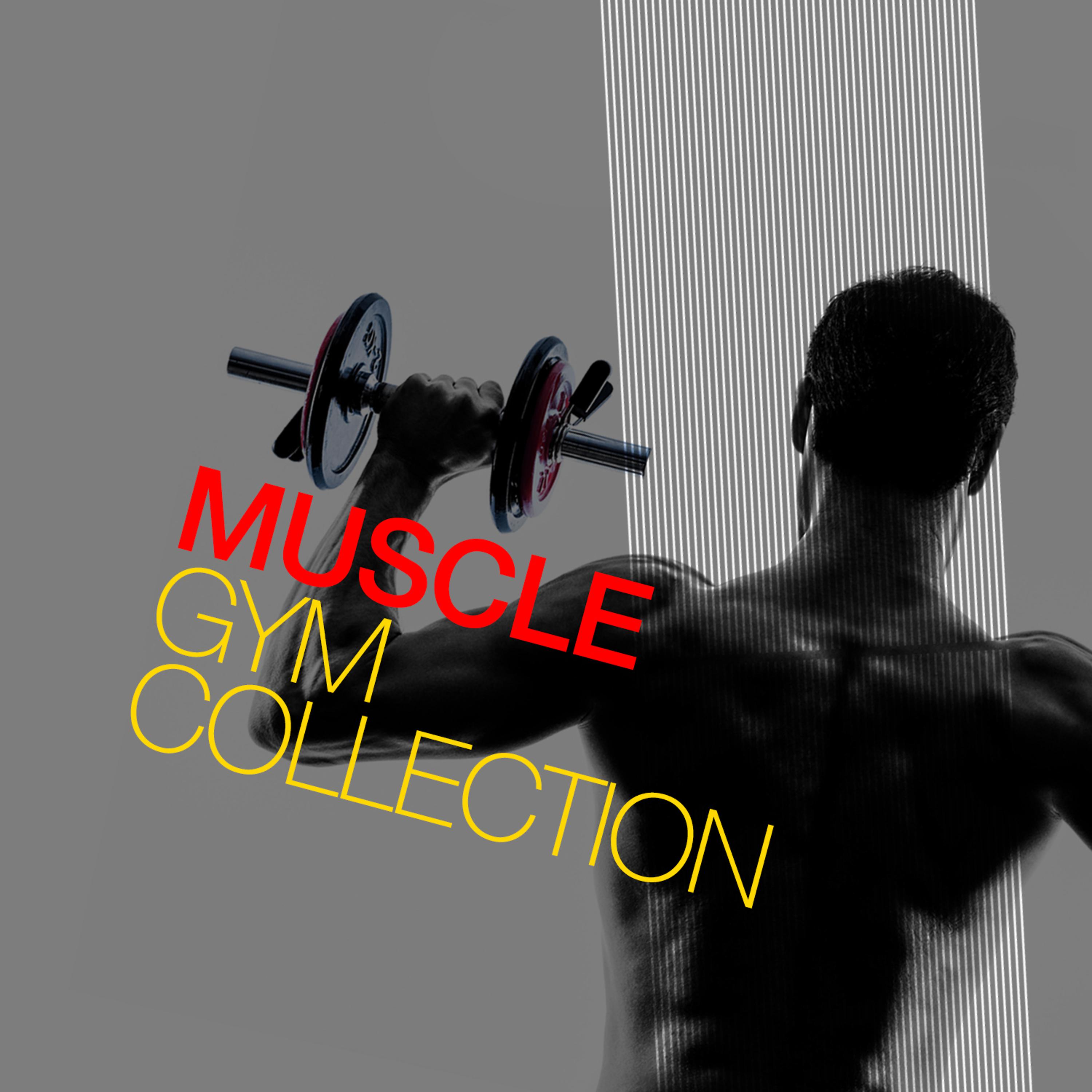 Постер альбома Muscle Gym Collection