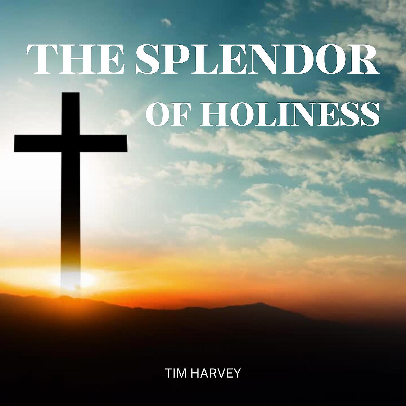 Постер альбома The Splendor of Holiness