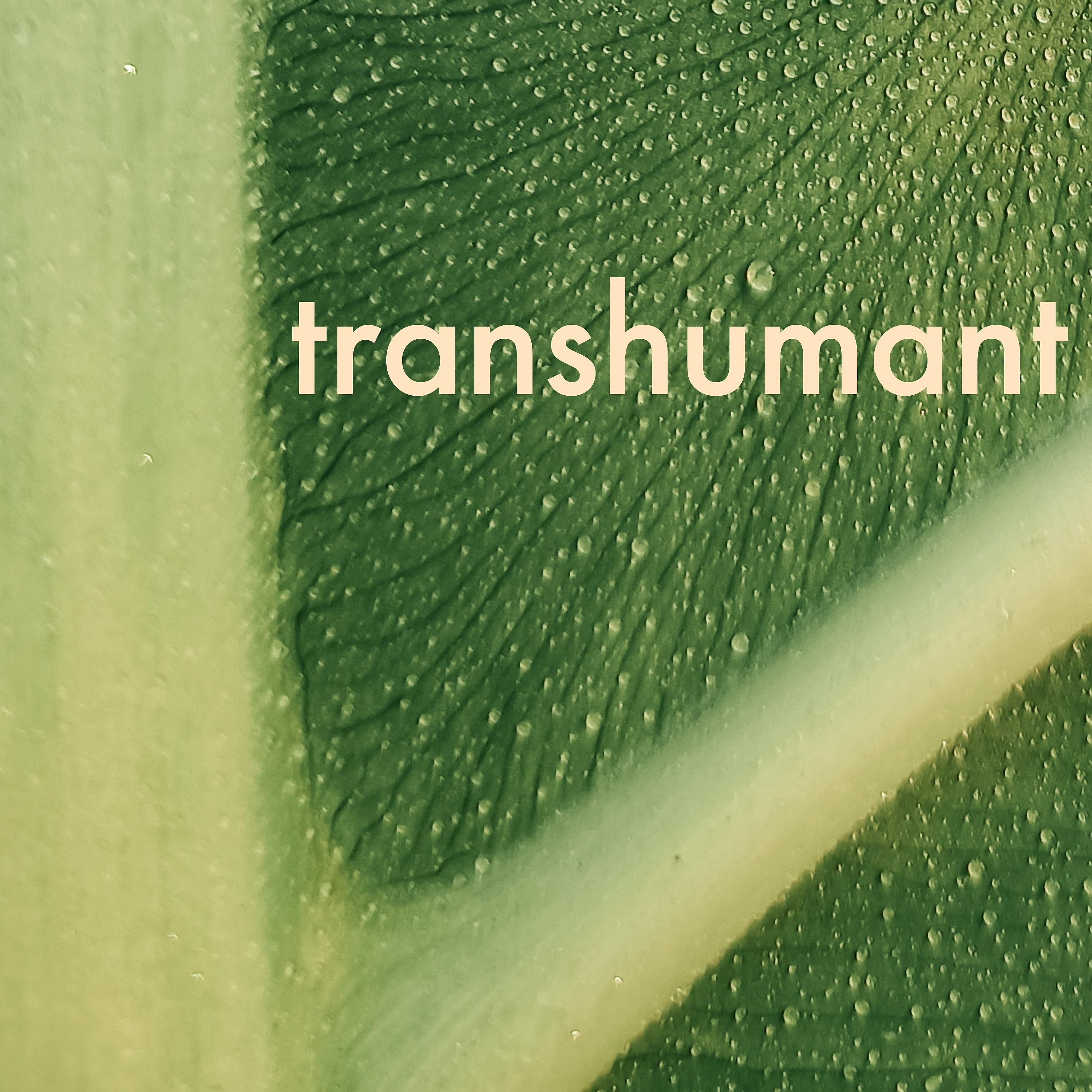 Постер альбома Transhumant