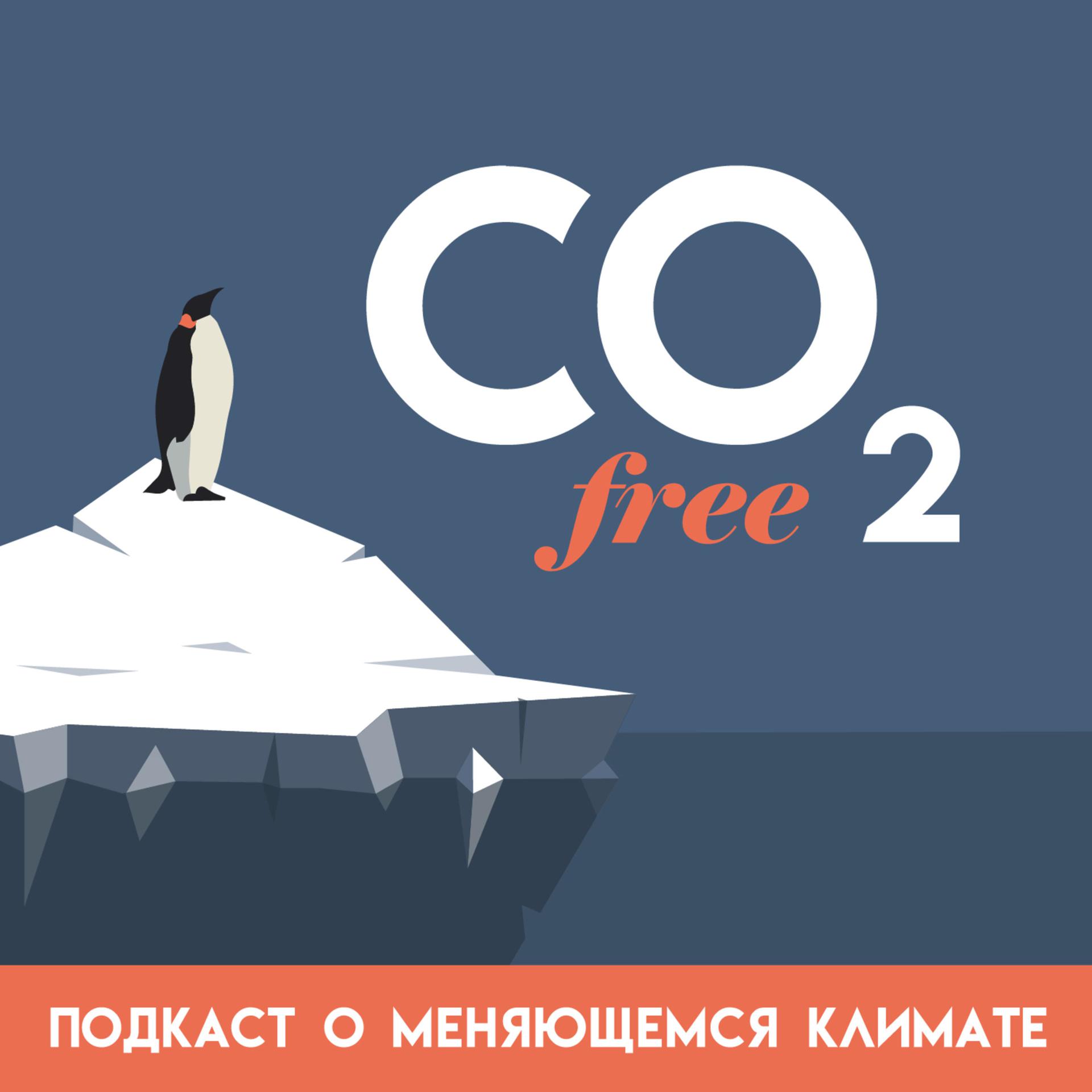#8 CO₂-free разговор о том, чем изменение климата угрожает Байкалу, с Дарьей Бедулиной