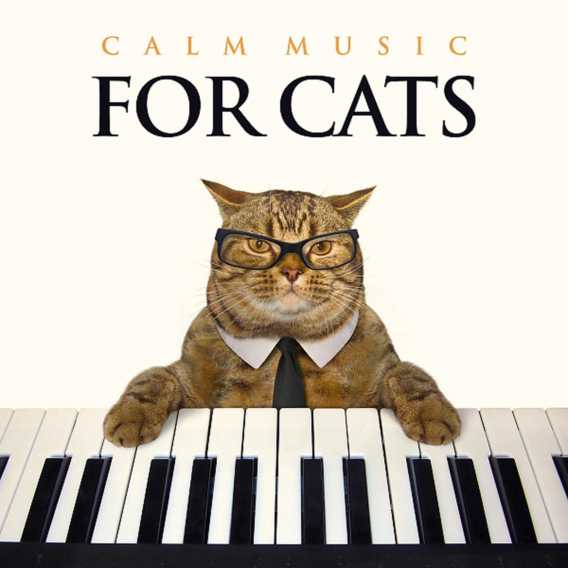 Постер альбома Calm Music For Cats: Relaxing Piano Background Music For Cats, Music For Pets, Pet Relaxation and The Most Relaxing Cat Music