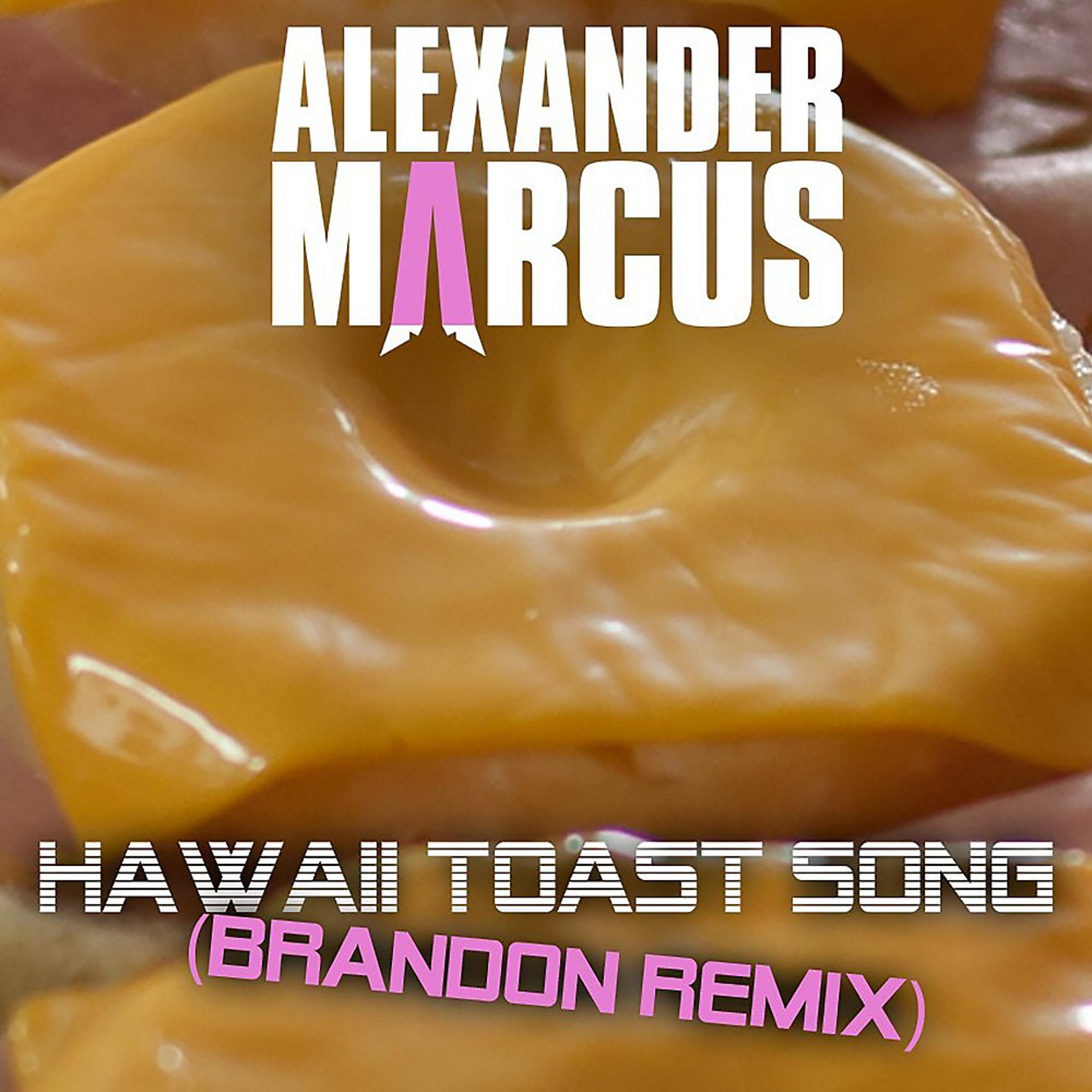 Постер альбома Hawaii Toast Song (BRANDON Remix)