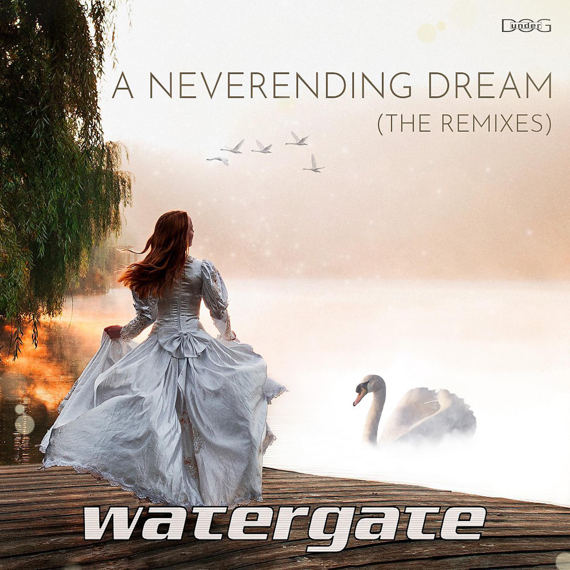 Постер альбома A Neverending Dream (The Remixes)