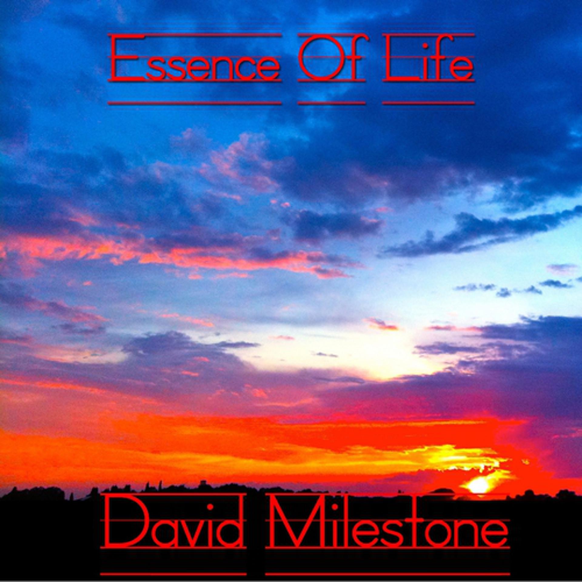 Постер альбома Essence of Life