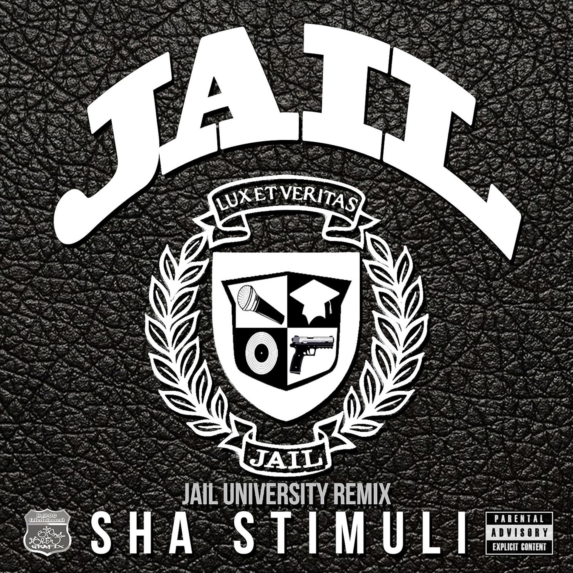 Постер альбома Jail University (Remix)
