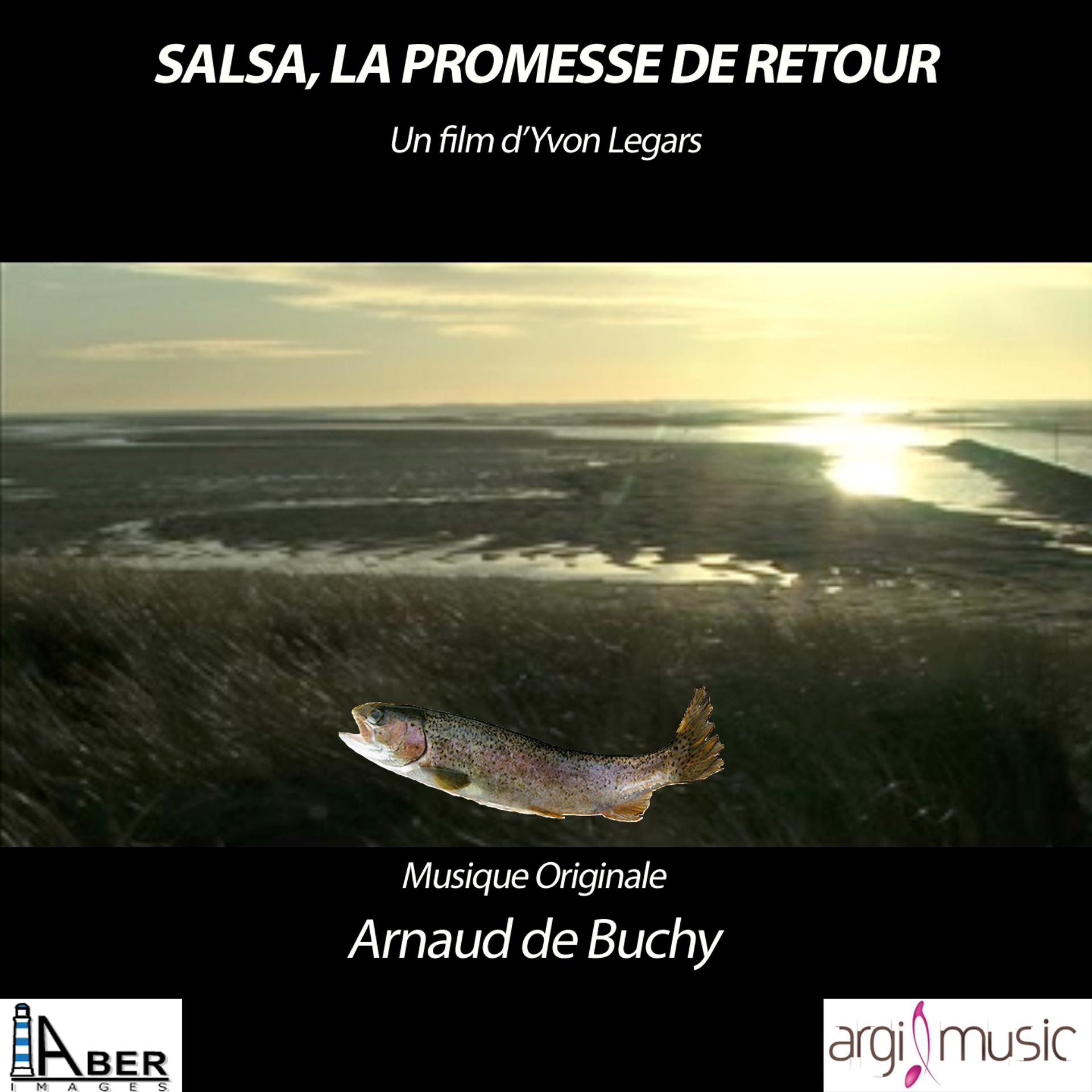 Постер альбома Salsa, la promesse de retour