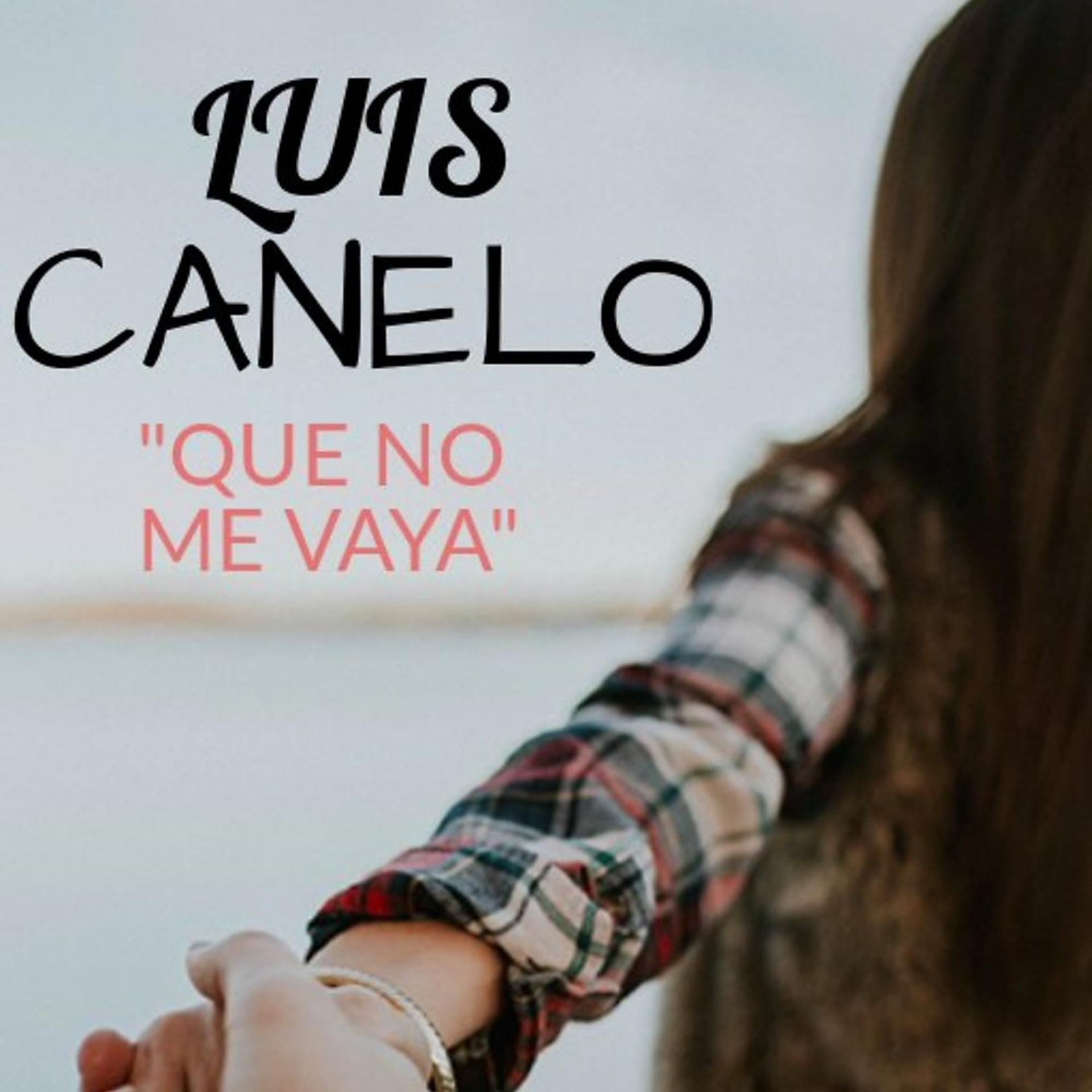 Постер альбома Que No Me Vaya