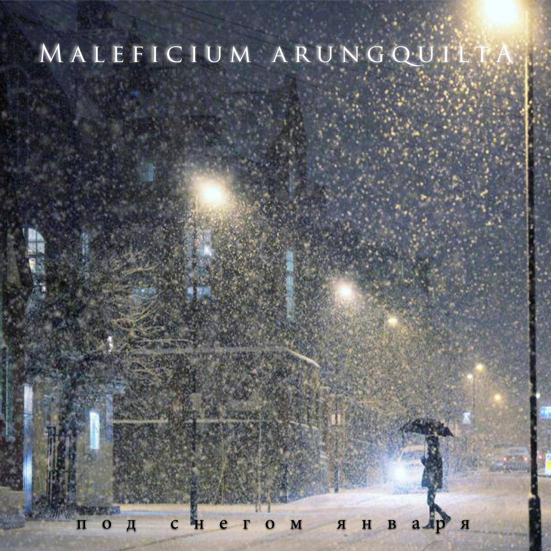Постер альбома Под снегом января