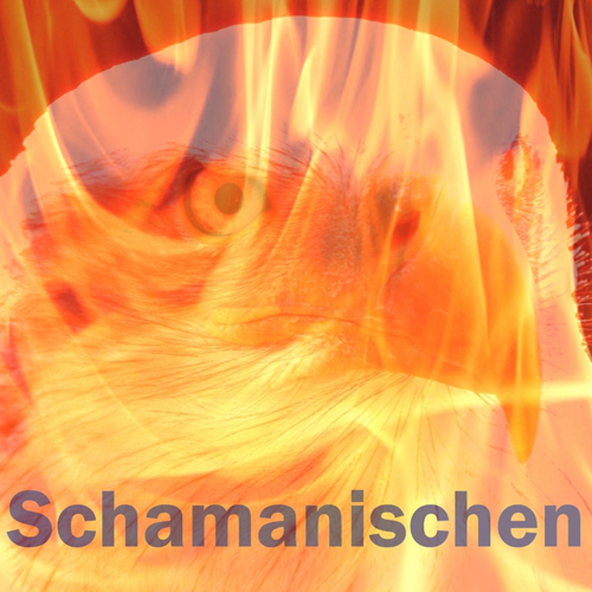 Постер альбома Schamanischen