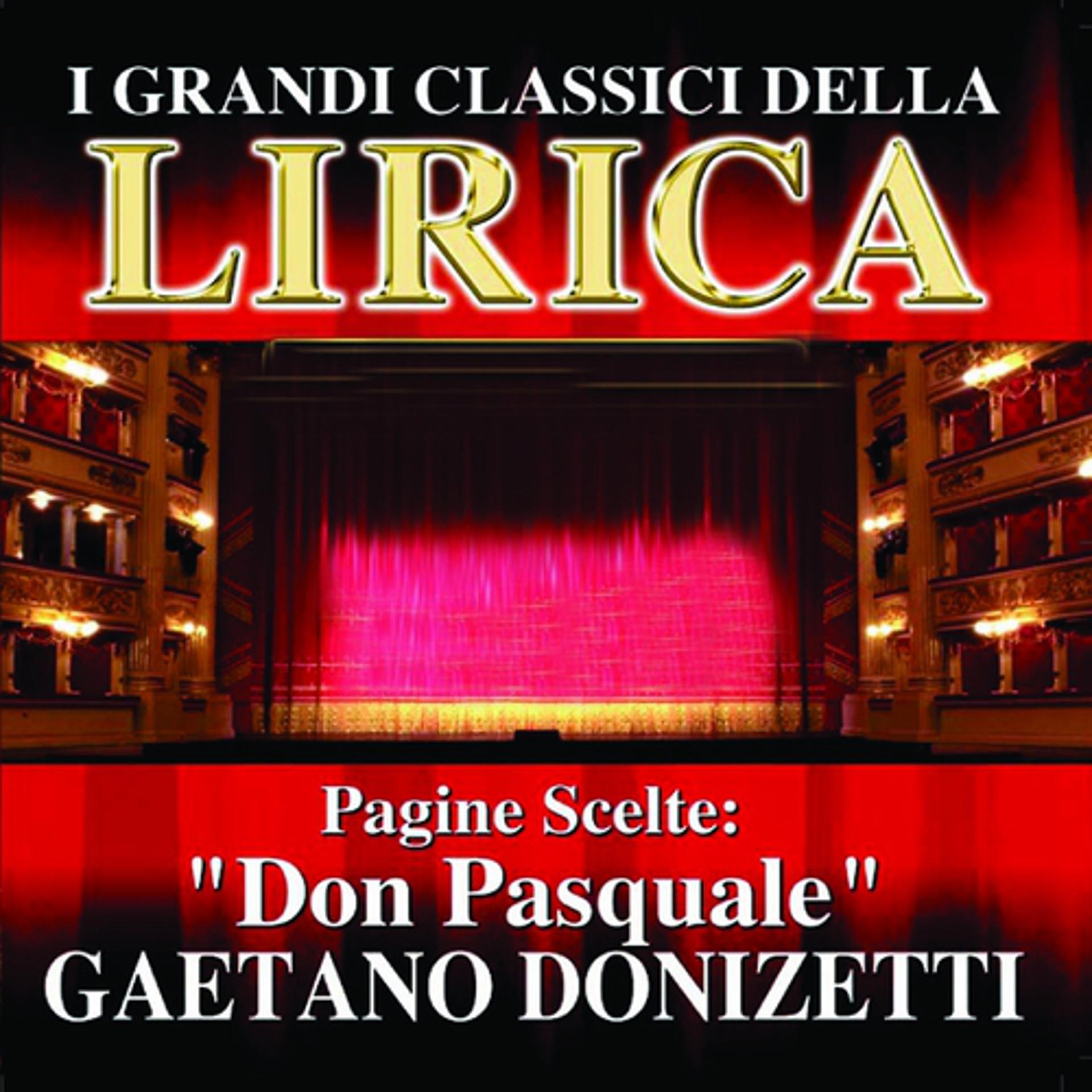 Постер альбома Gaetano Donizetti : Don Pasquale, Pagine scelte