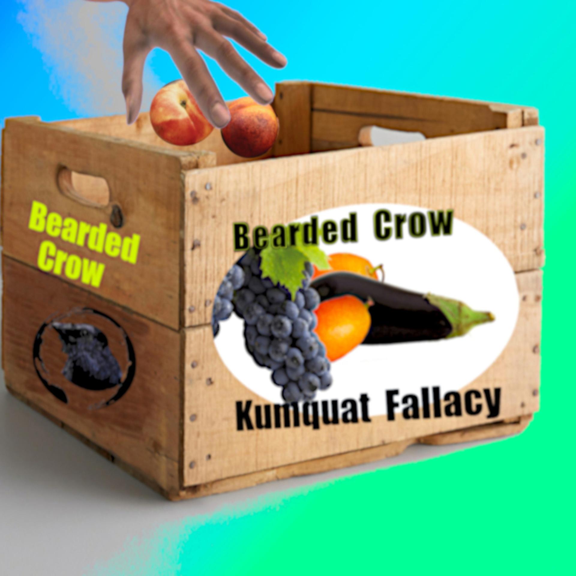 Постер альбома Kumquat Fallacy