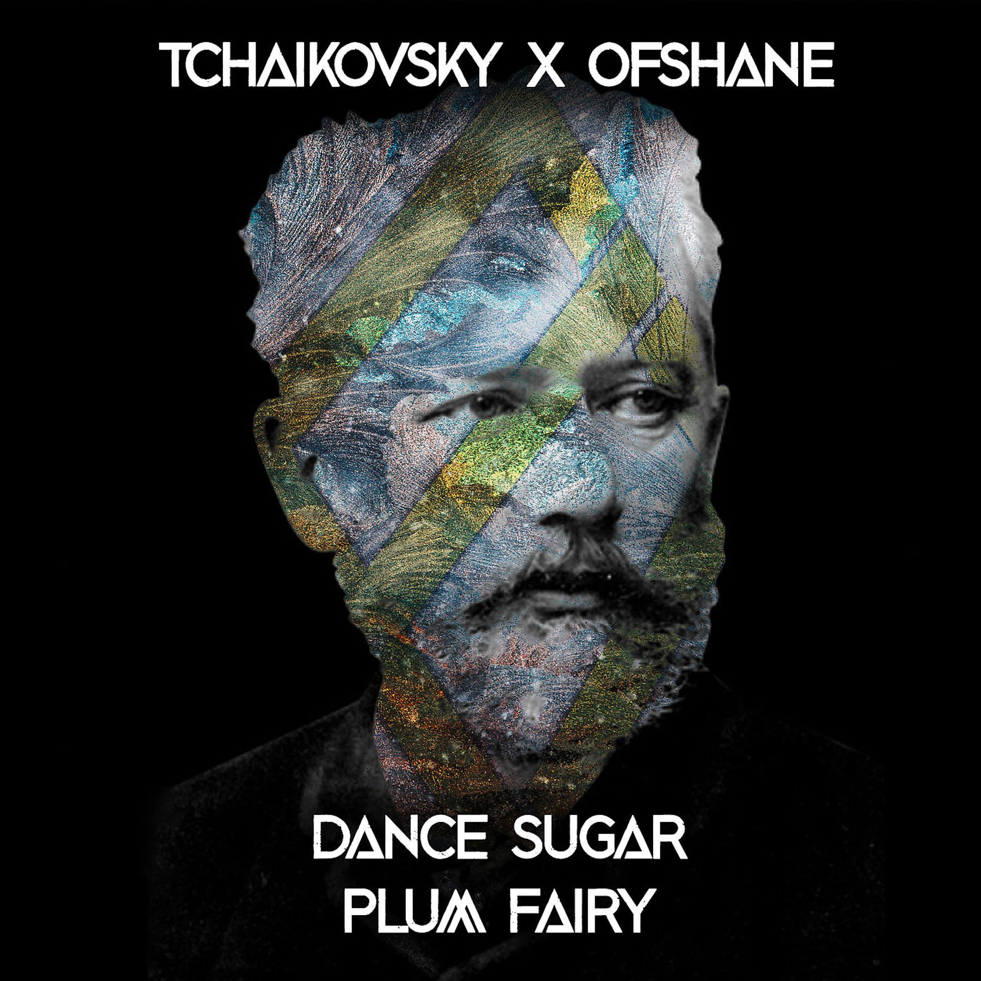 Постер альбома Dance Sugar Plum Fairy (Ofshane Remix)