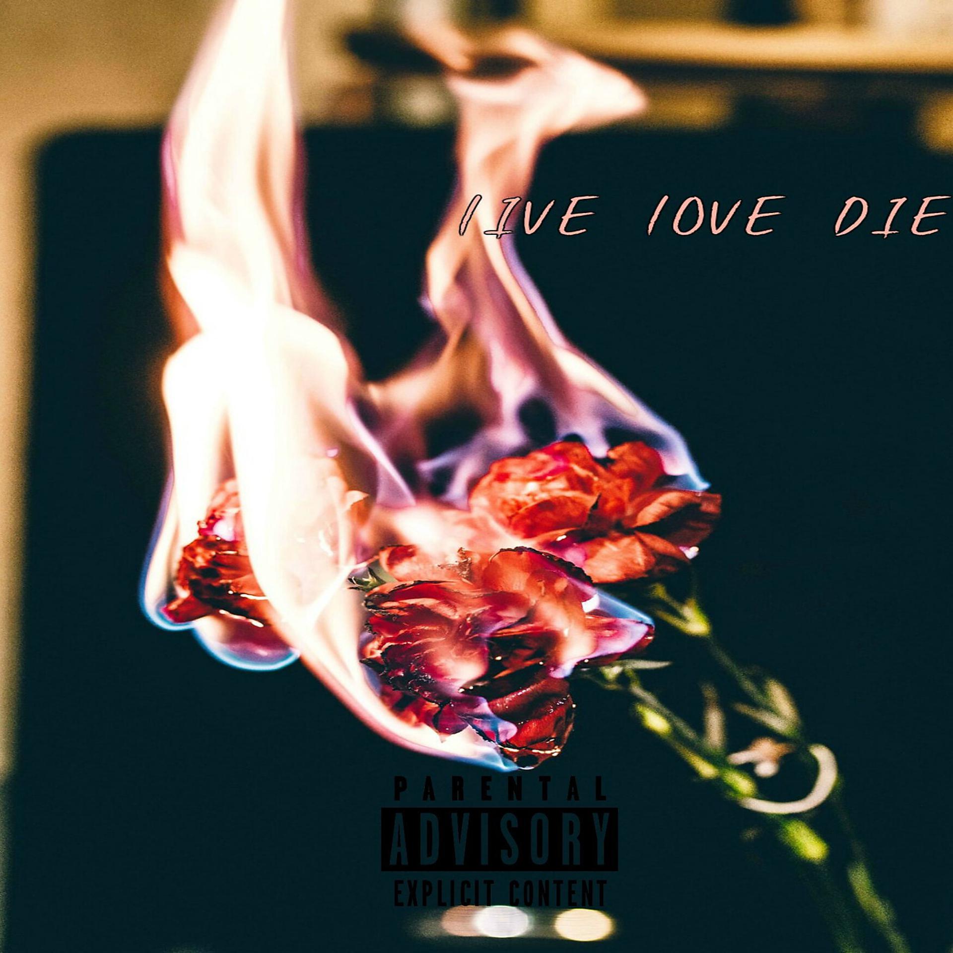 Постер альбома Live Love Die
