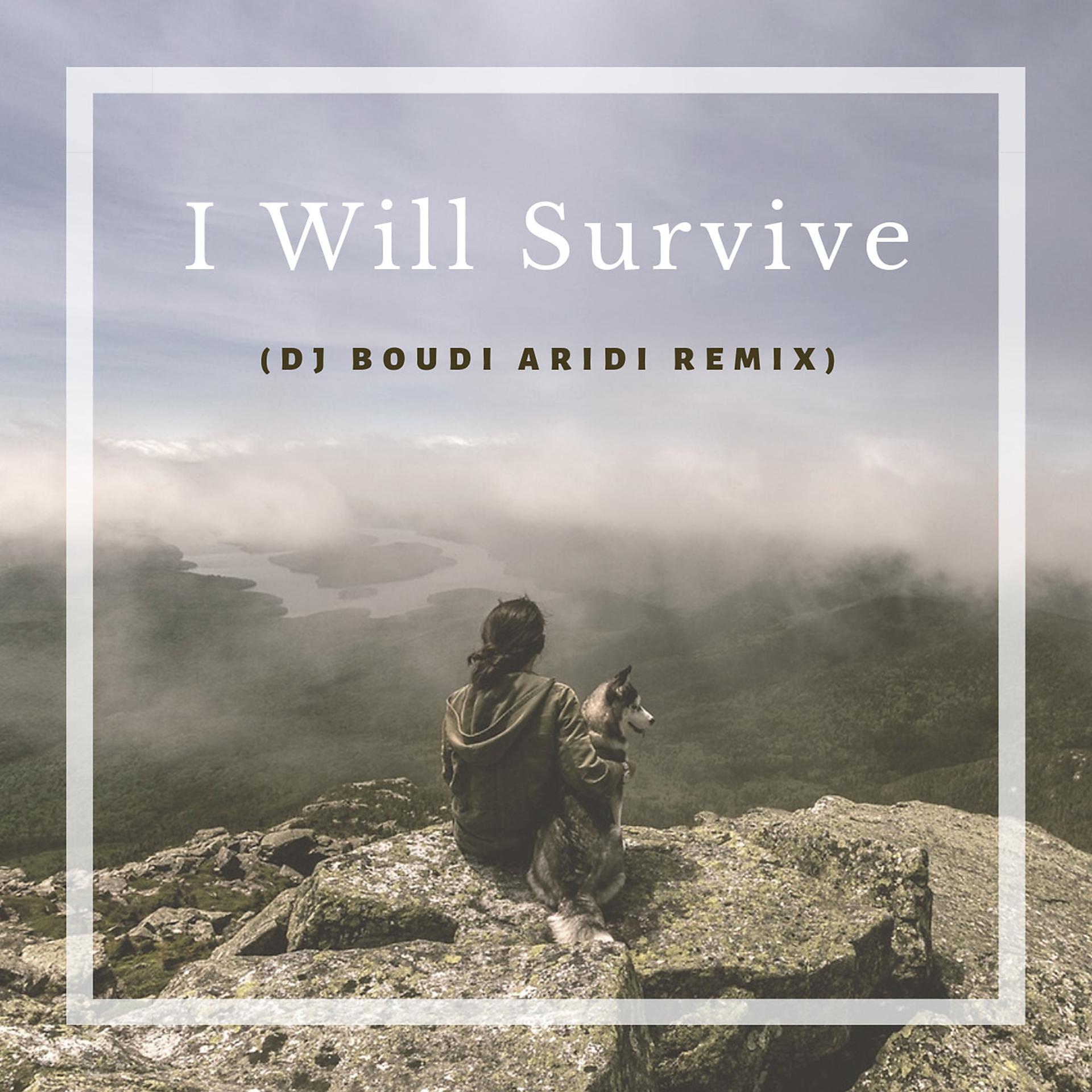 Постер альбома I Will Survive (Deep Mix)