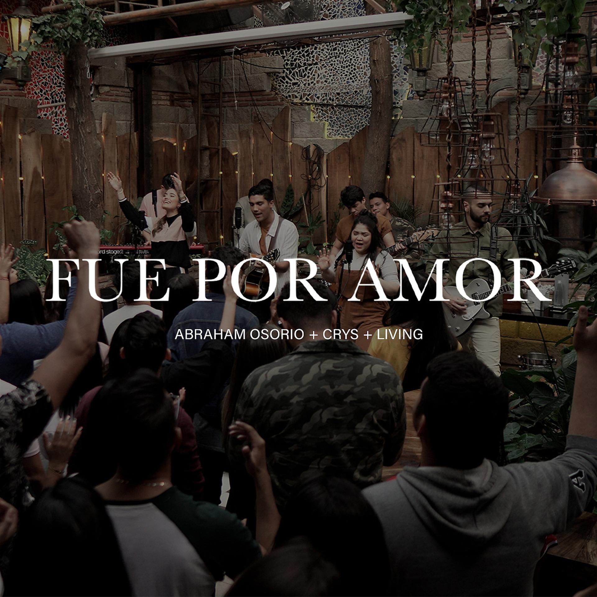 Постер альбома Fue Por Amor