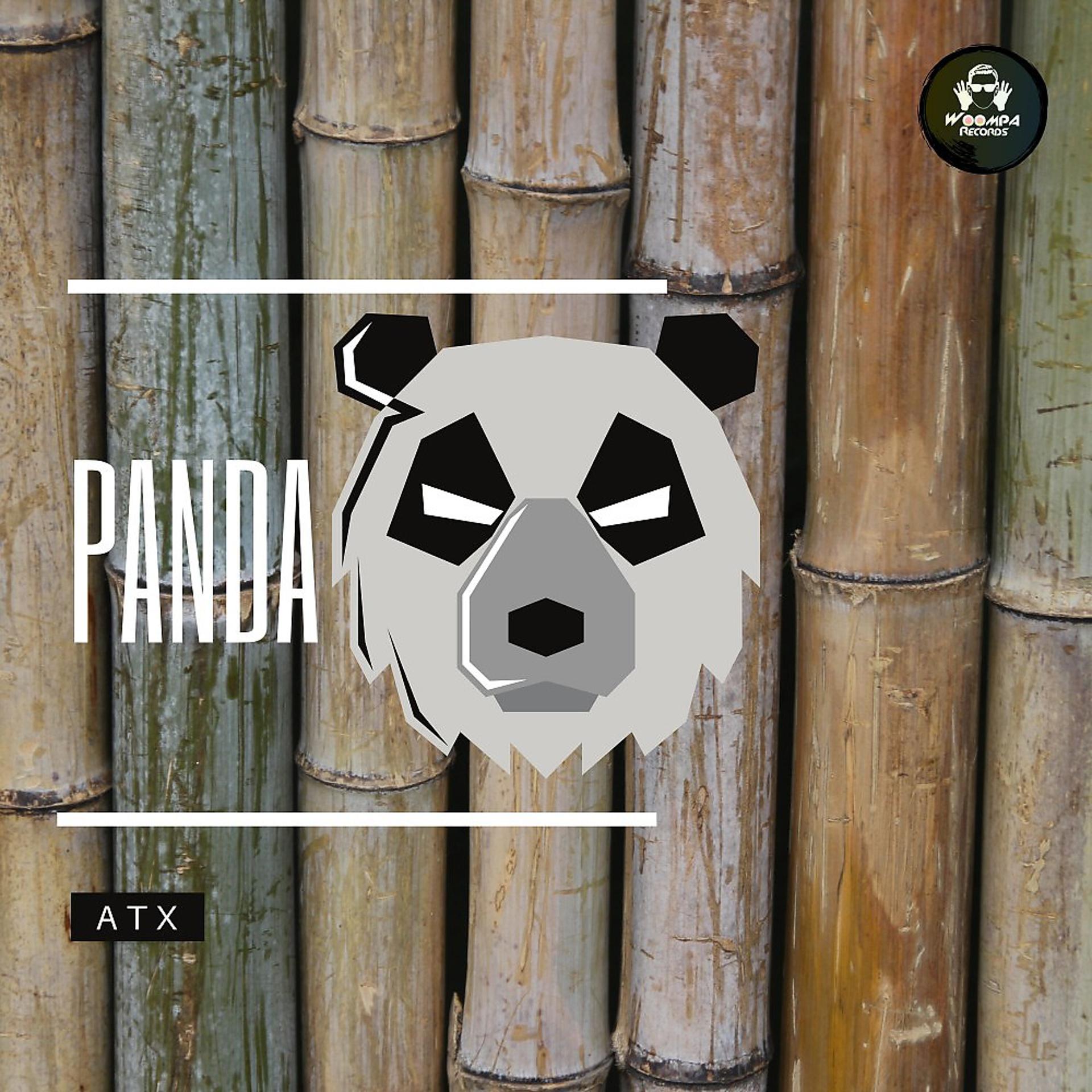 Постер альбома Panda (Jungle Mix)