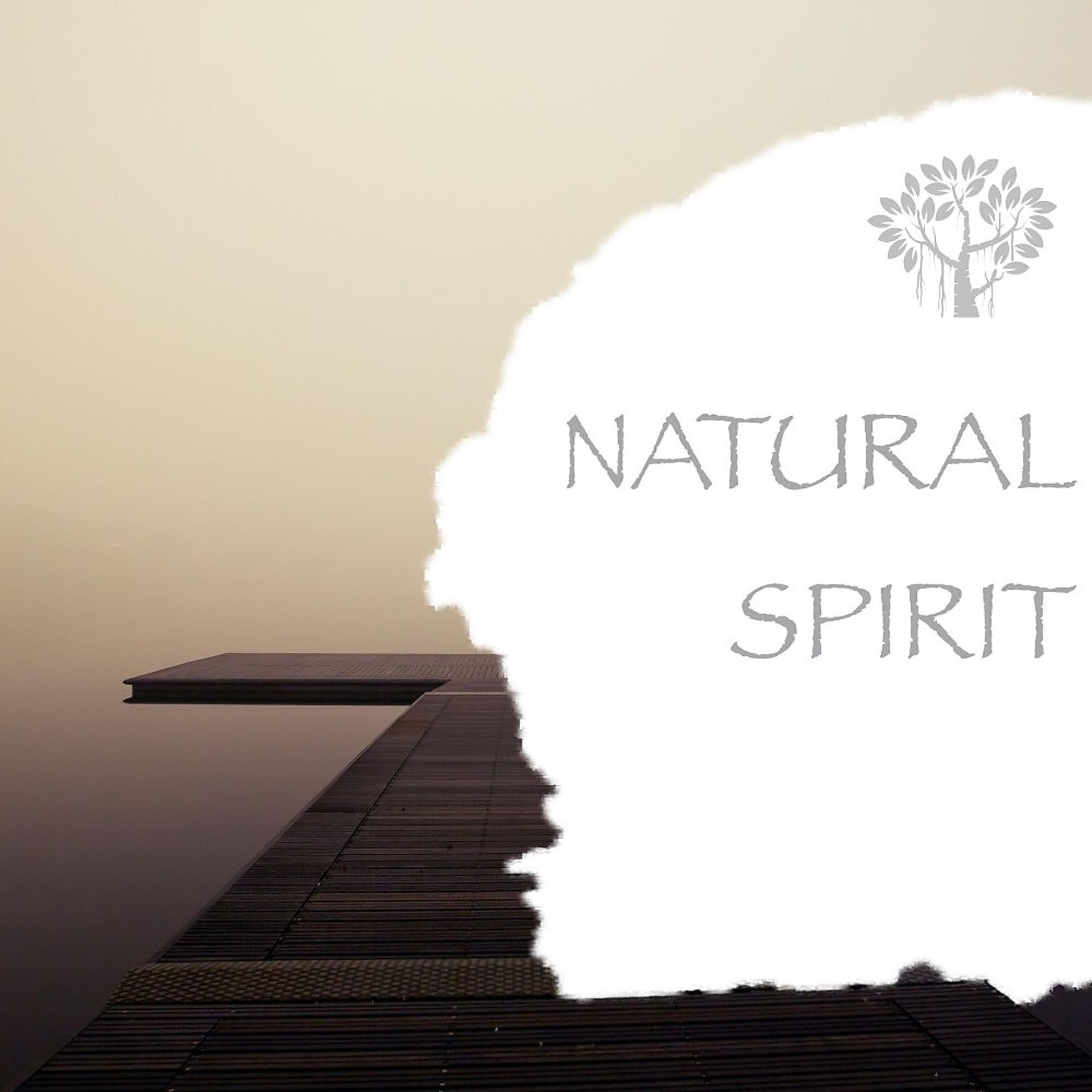 Постер альбома Natural Spirit