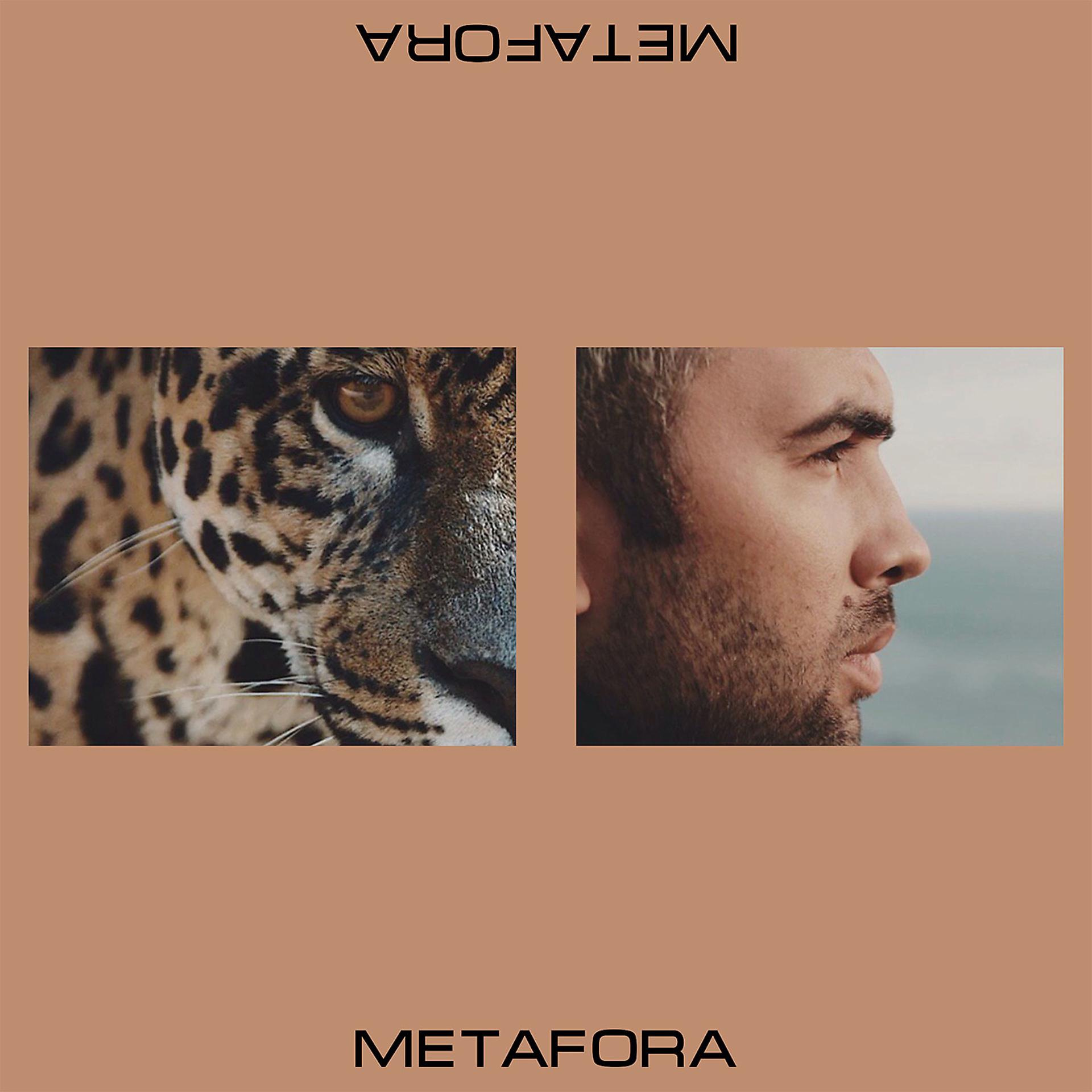 Постер альбома Метафора