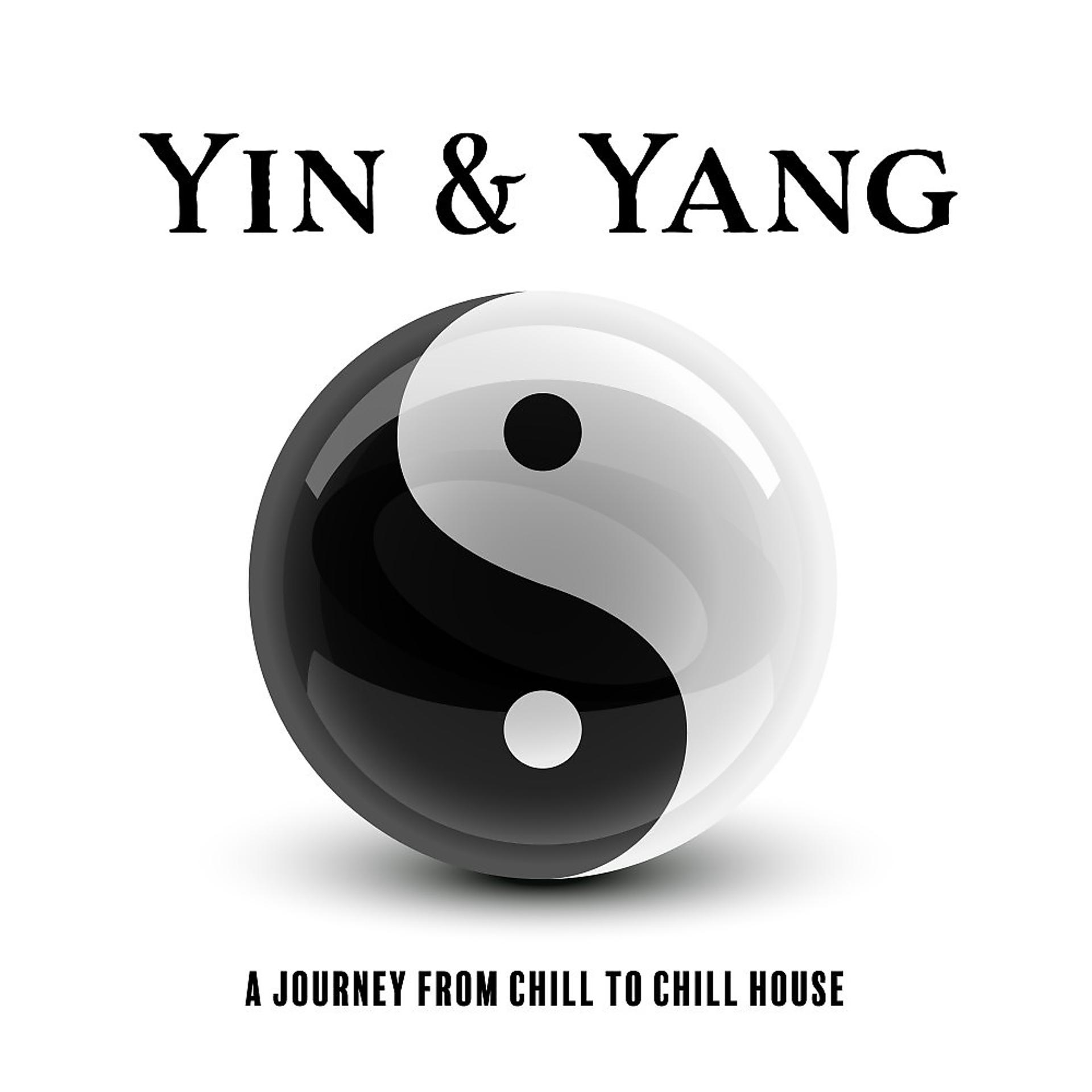 Постер альбома Yin & Yang: A Journey from Chill to Chill House