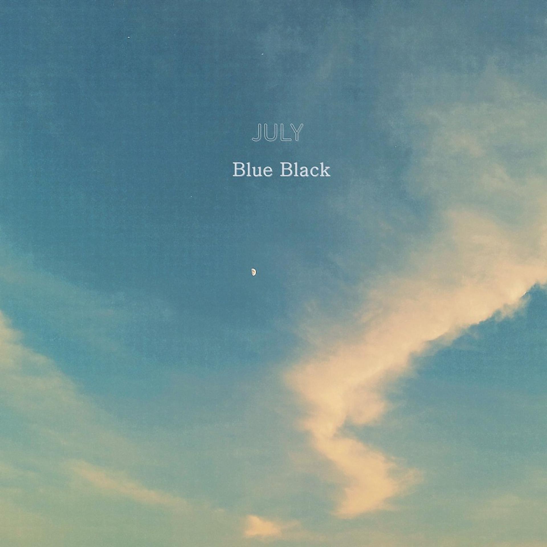 Постер альбома Blue Black
