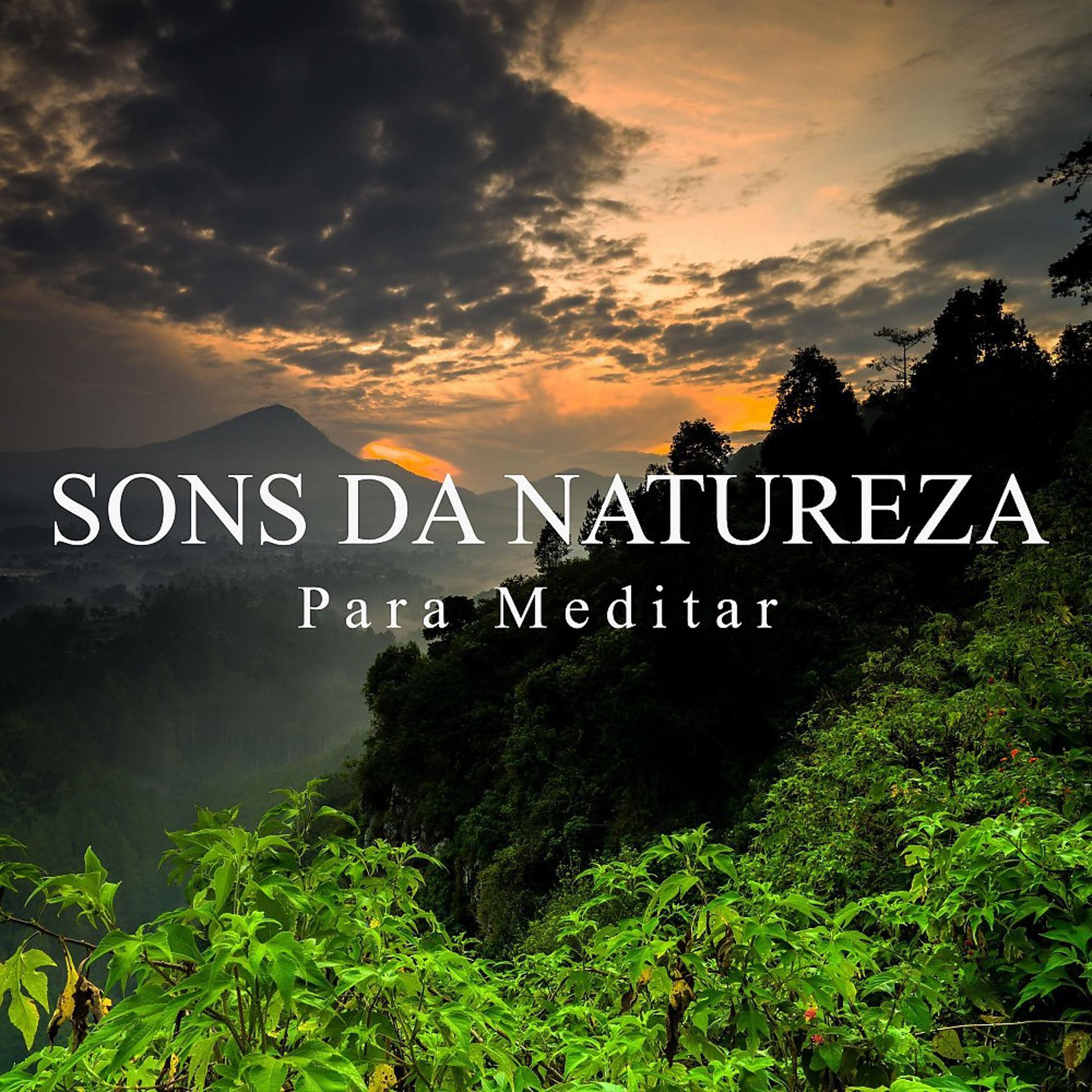 Постер альбома Sons da Natureza para Meditar