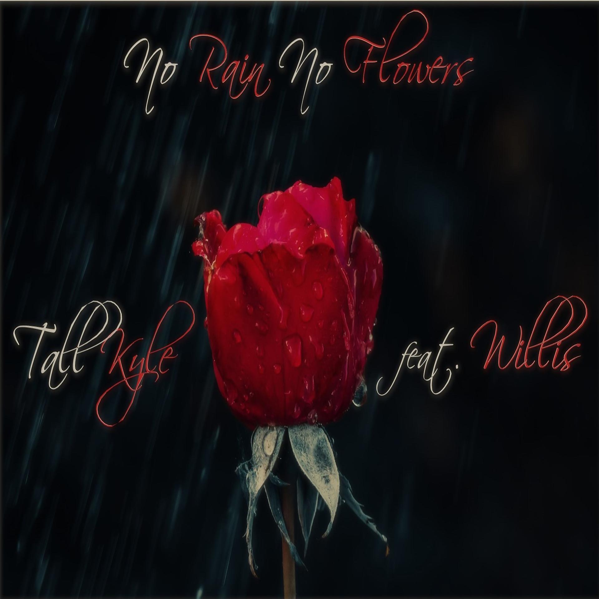 Постер альбома No Rain No Flowers