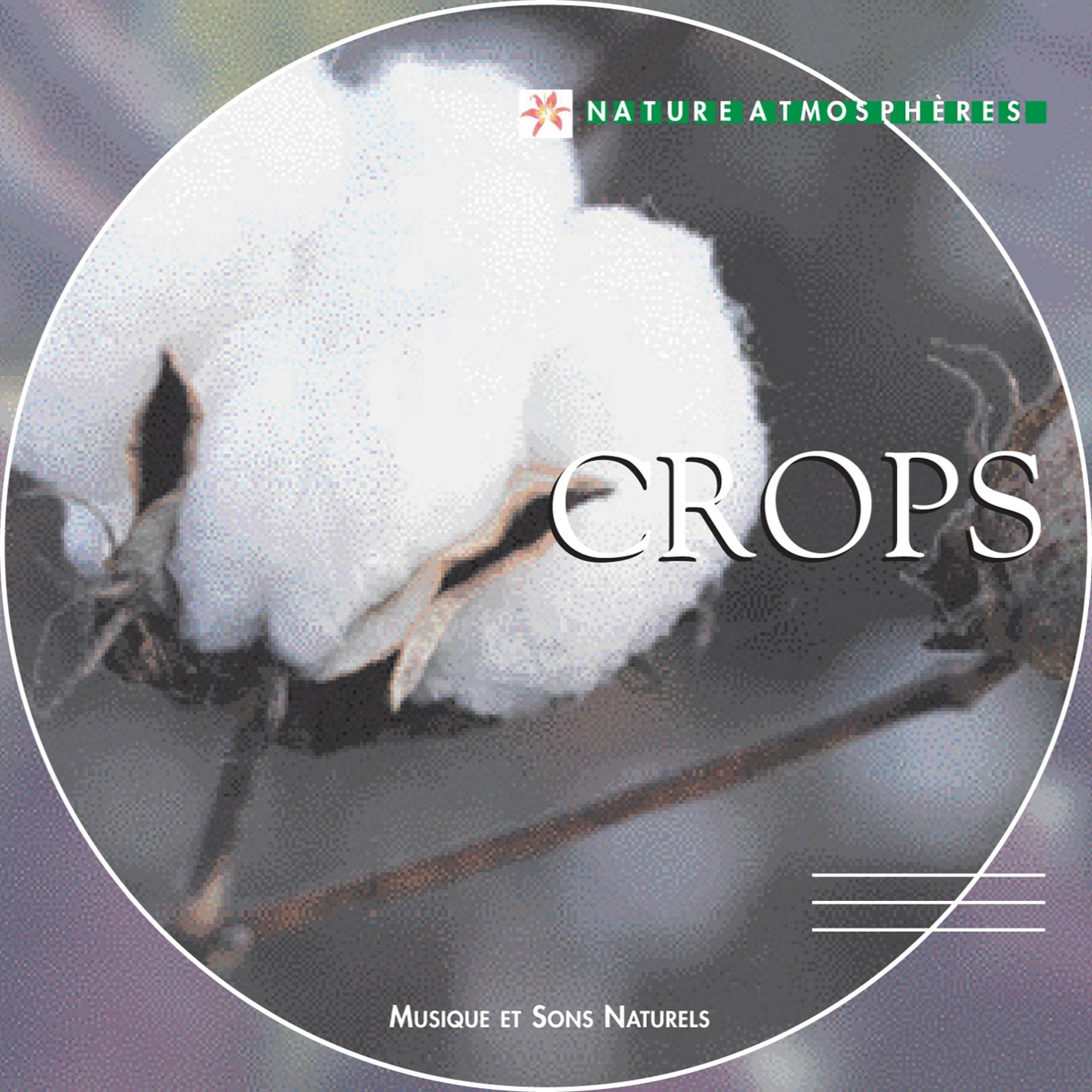 Постер альбома Nature Atmosphere: Crops