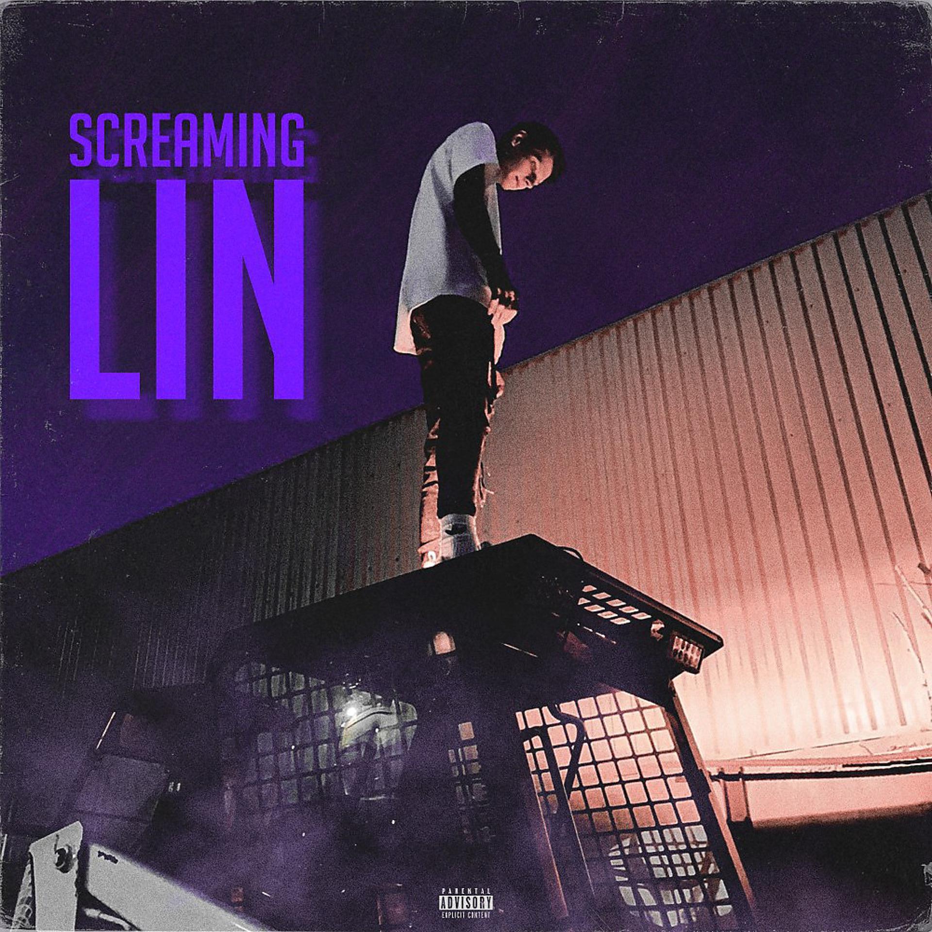 Постер альбома Lin (Prod. Chanddiller)