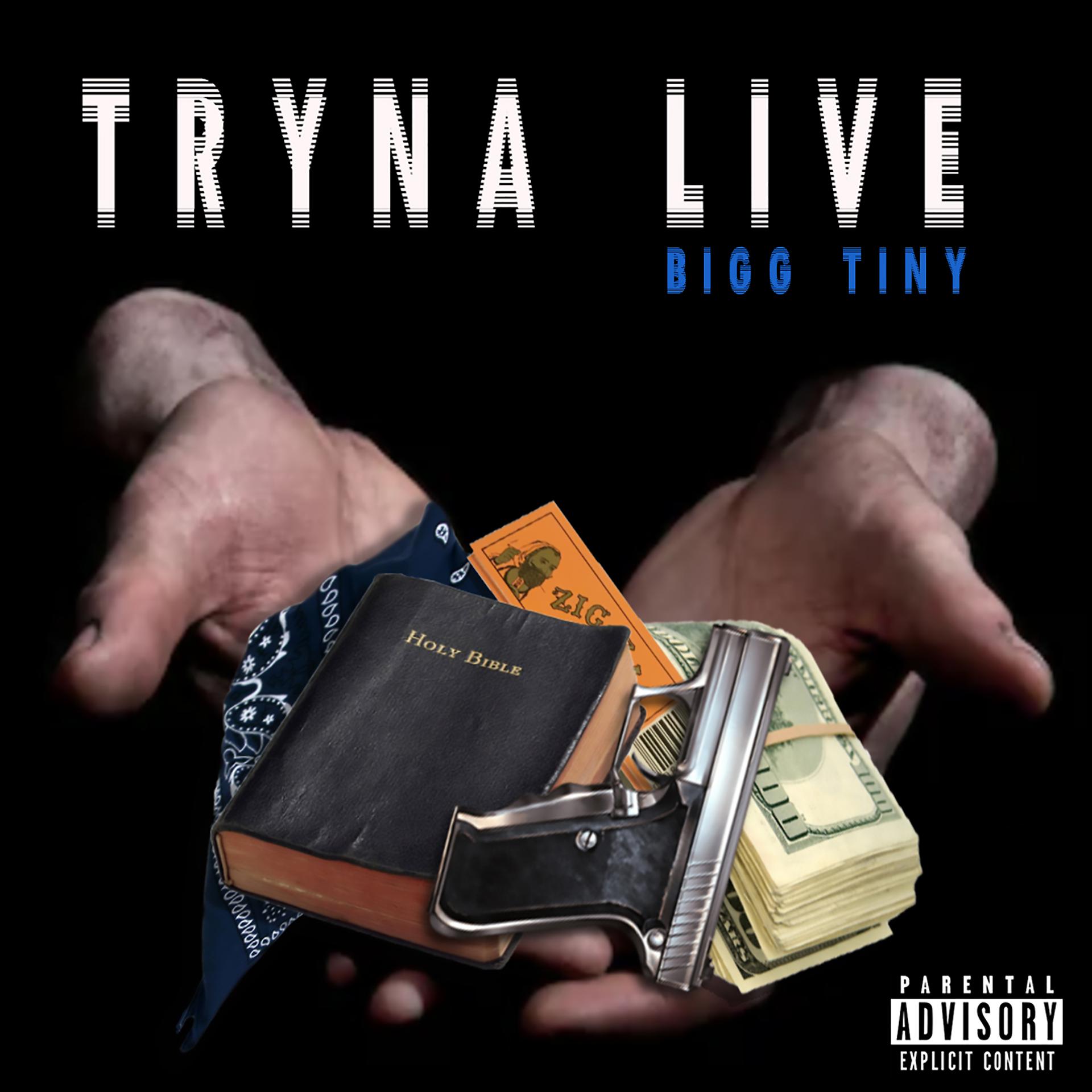 Постер альбома Tryna Live
