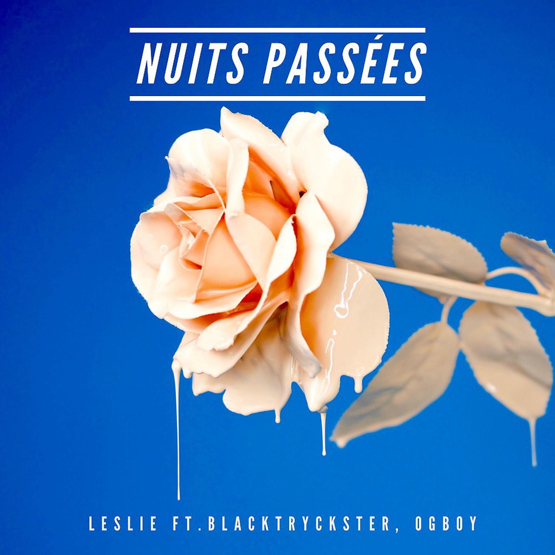 Постер альбома Nuits passées