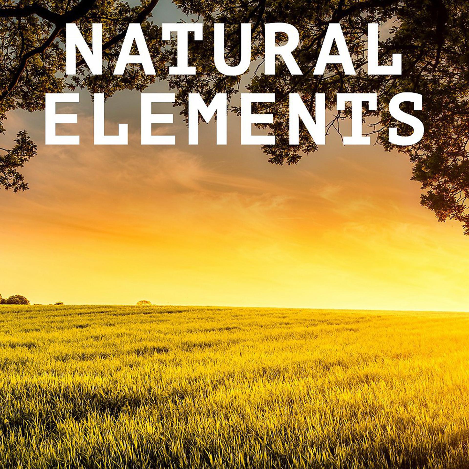 Постер альбома Natural Elements